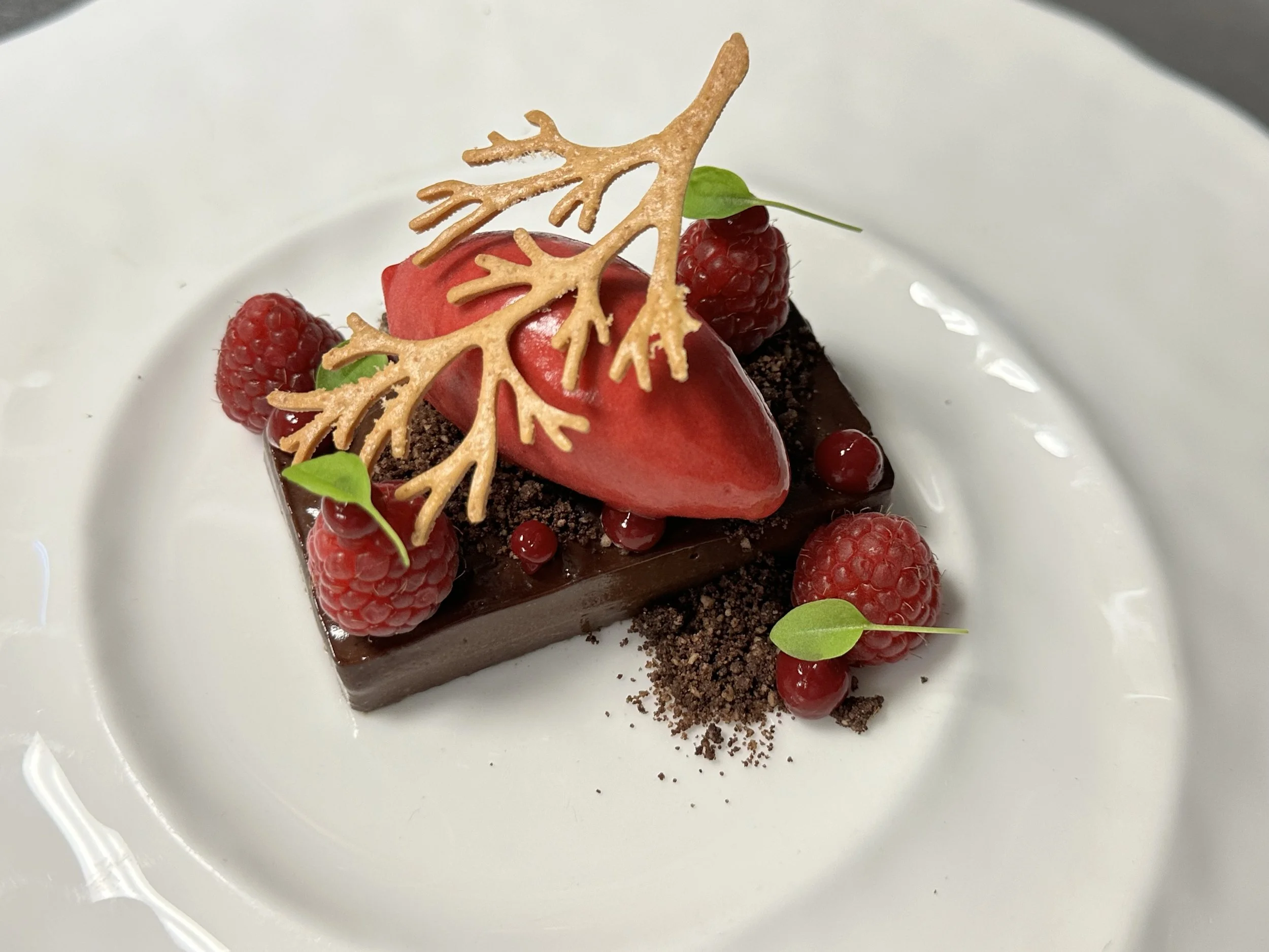 A plated chocolate dessert topped with raspberries, red currants, a strawberry-shaped decoration, green leaves, and a decorative caramel branch, served on a white plate.