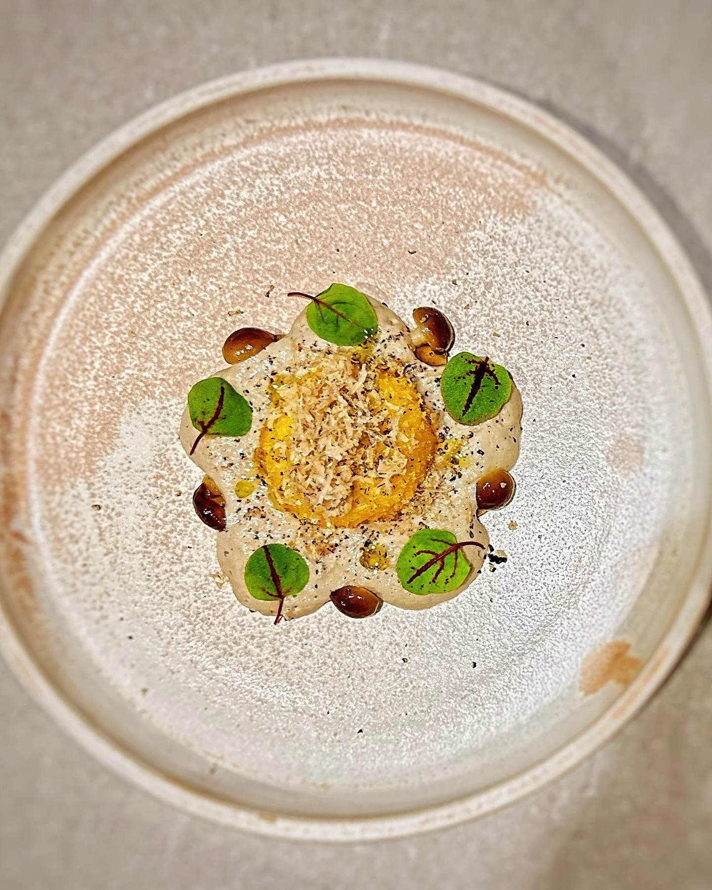 Dessert topped with microgreens, nuts, and a slice of fruit, dusted with powdered sugar in a white dish.