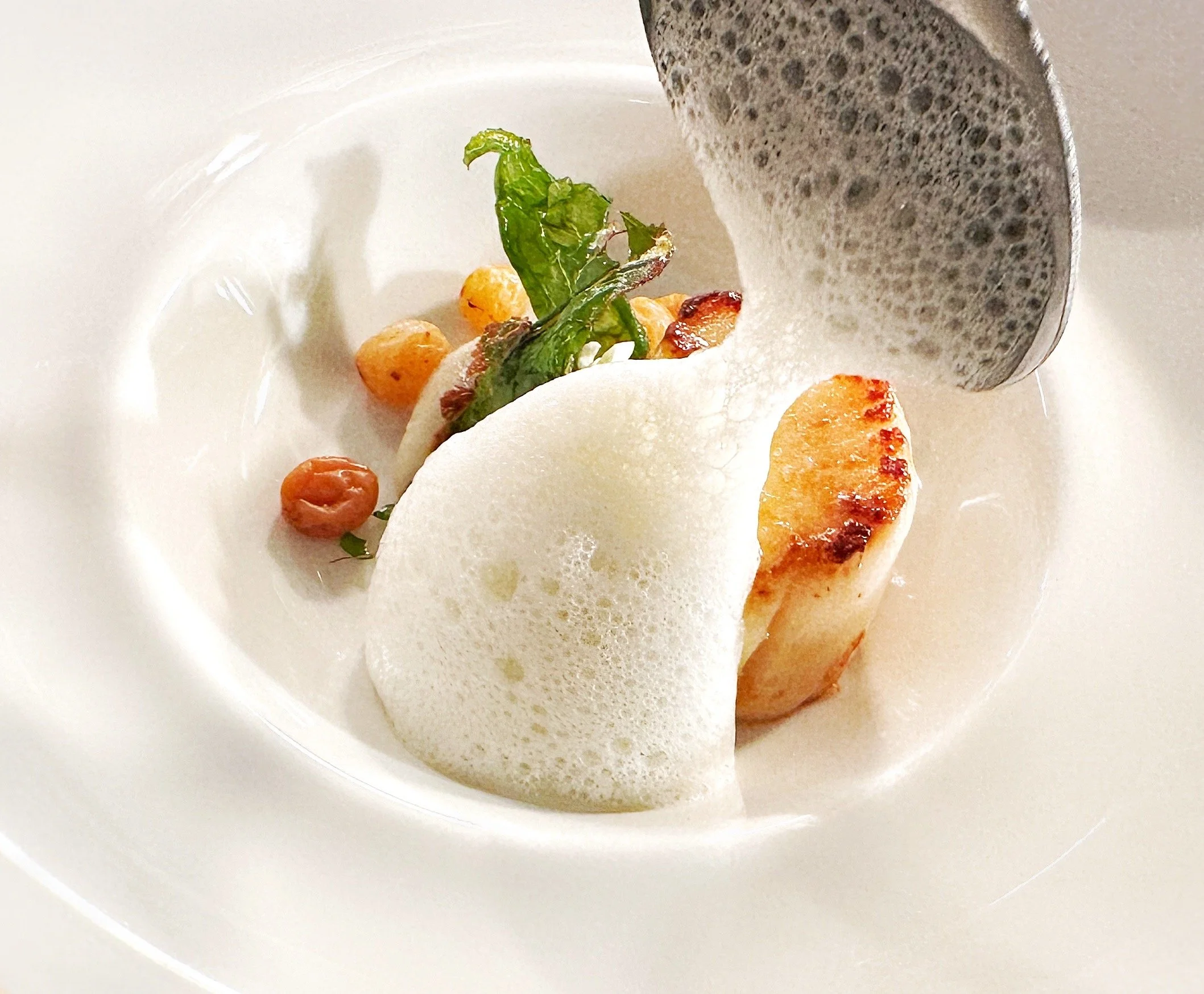 private-chef-tyme-by-carl-cleghorn-scallop-starter-cardiff-fine-dining.jpeg