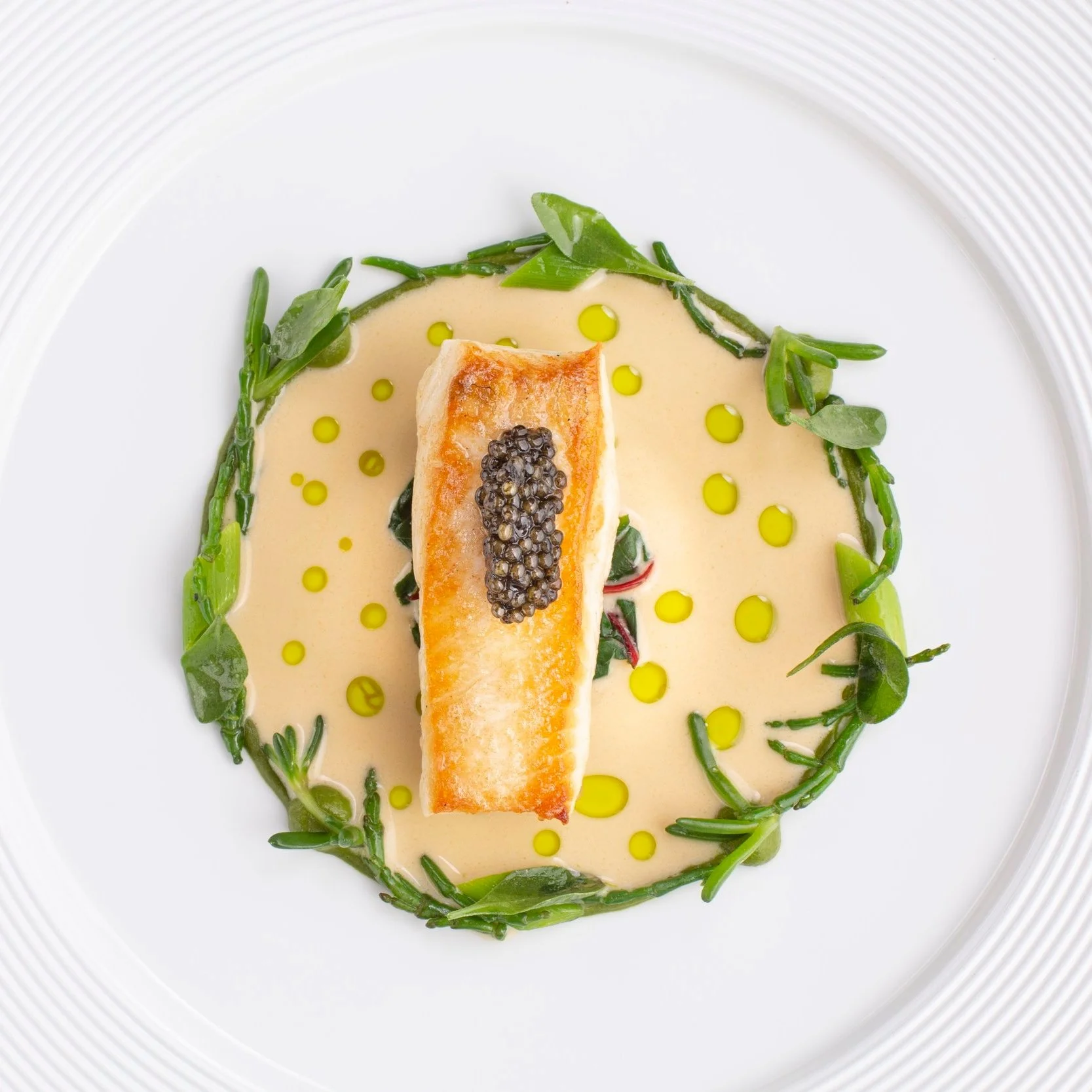 private-chef-halibut-leek-fine-dining-tyme-by-carl-cleghorn-wales.jpg
