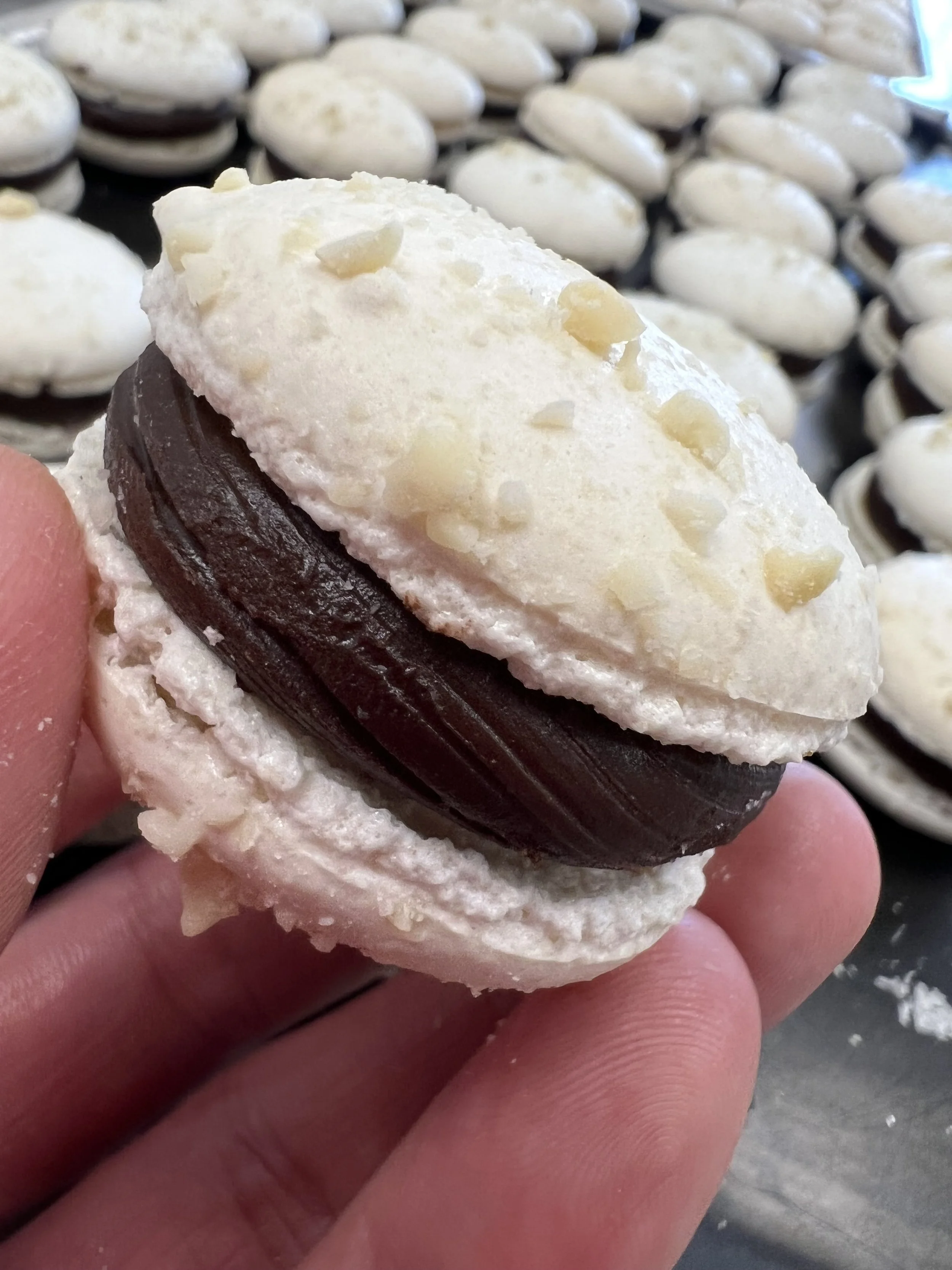 A close-up of a black and white macaron with white chocolate topping and white chocolate chips, held between fingers with more macarons in the background.