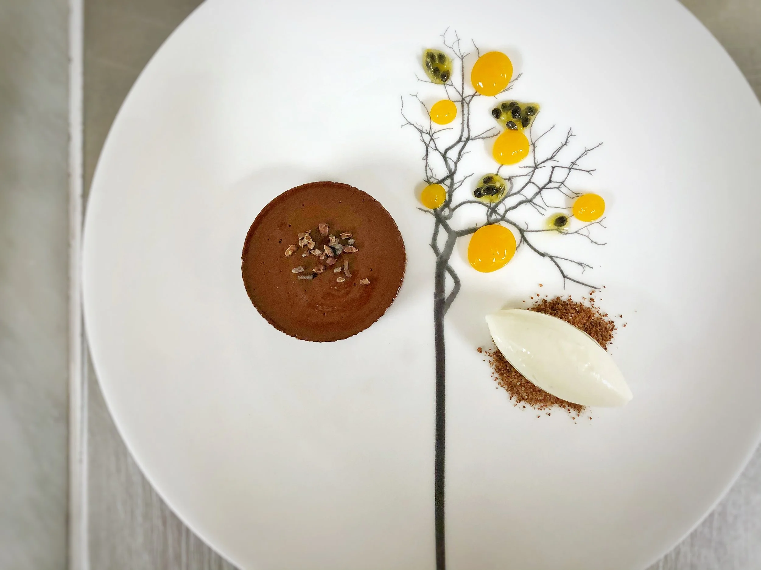 Dessert plate with a chocolate tart garnished with chopped nuts, artistic chocolate tree with yellow sauces and blackberries, and a scoop of white ice cream on a bed of brown powder.