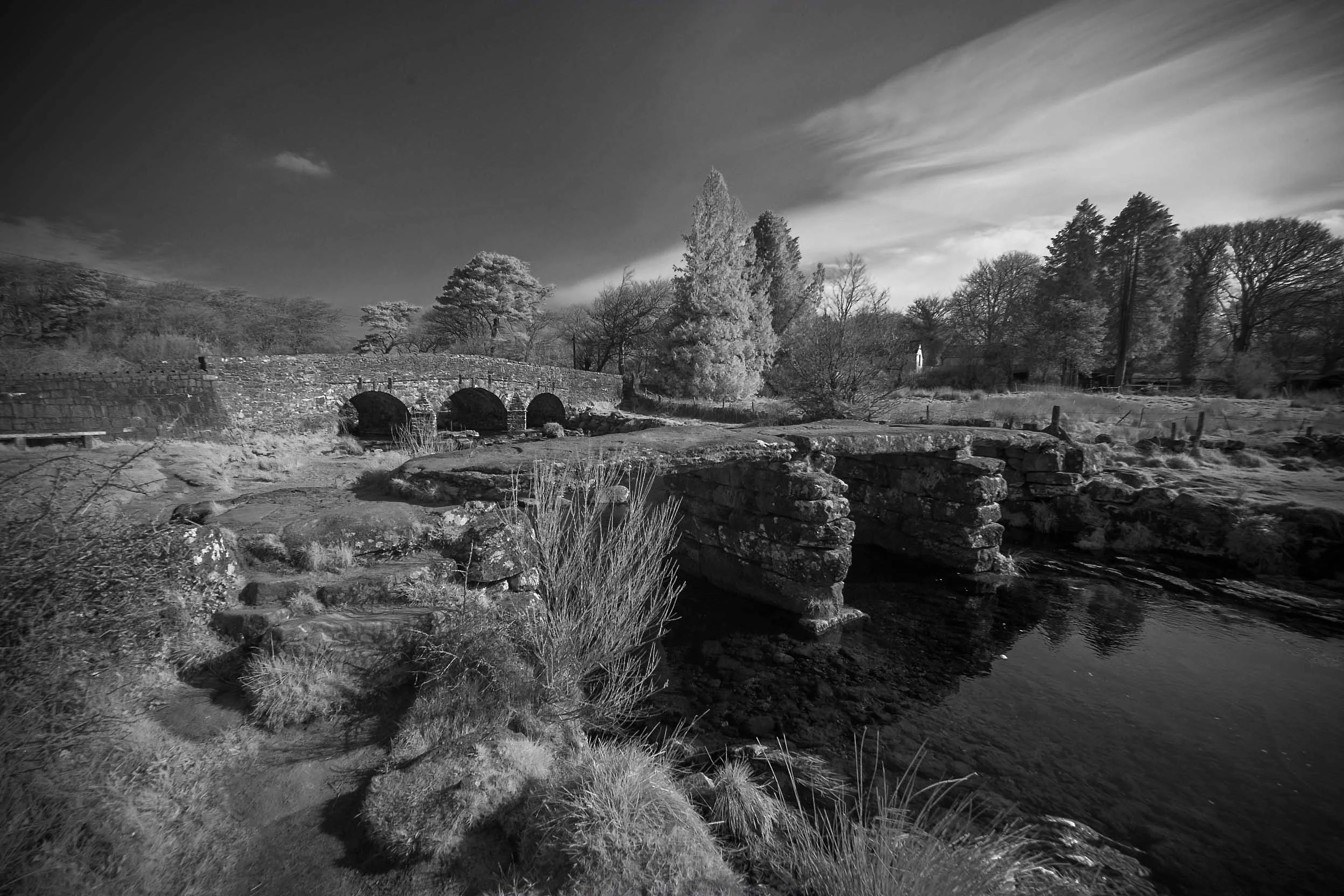 Image 19-04-2021 at 19.40.JPG