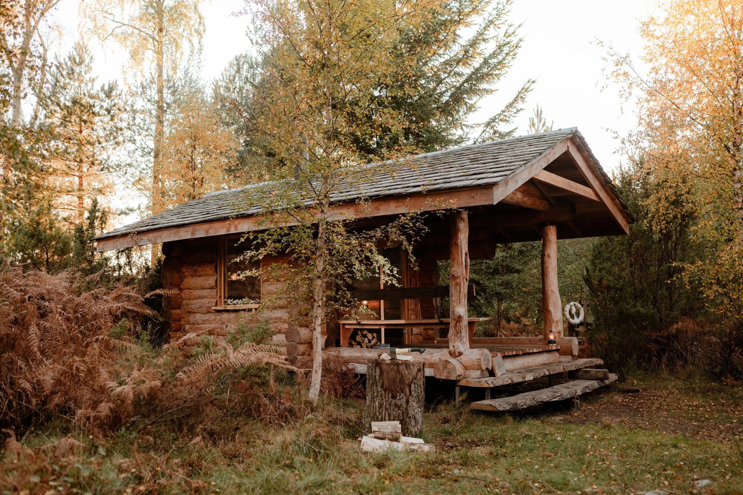 Rustic wooden cabin in a forest setting with fall foliage, a small porch, and a woodpile.