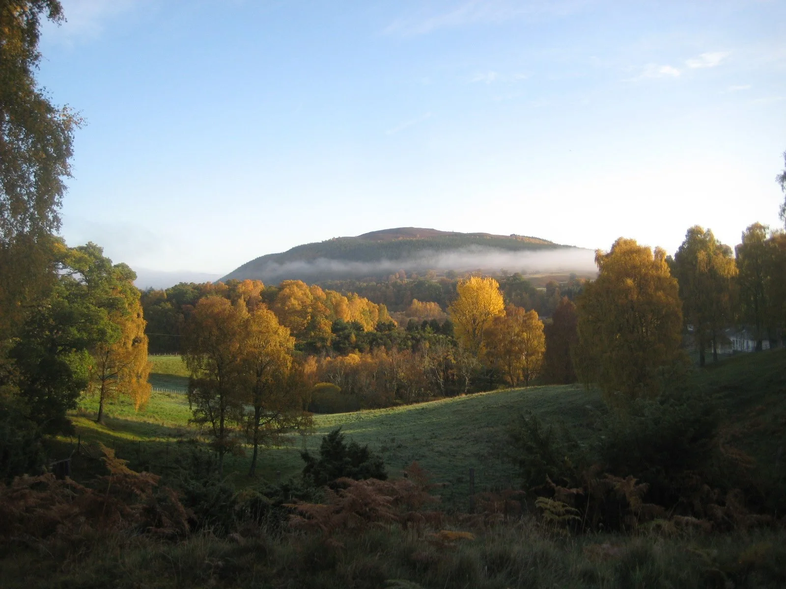 A scenic landscape photo of a hillside covered with trees in autumn colors, with a mountain in the background partially obscured by mist and a clear sky overhead.