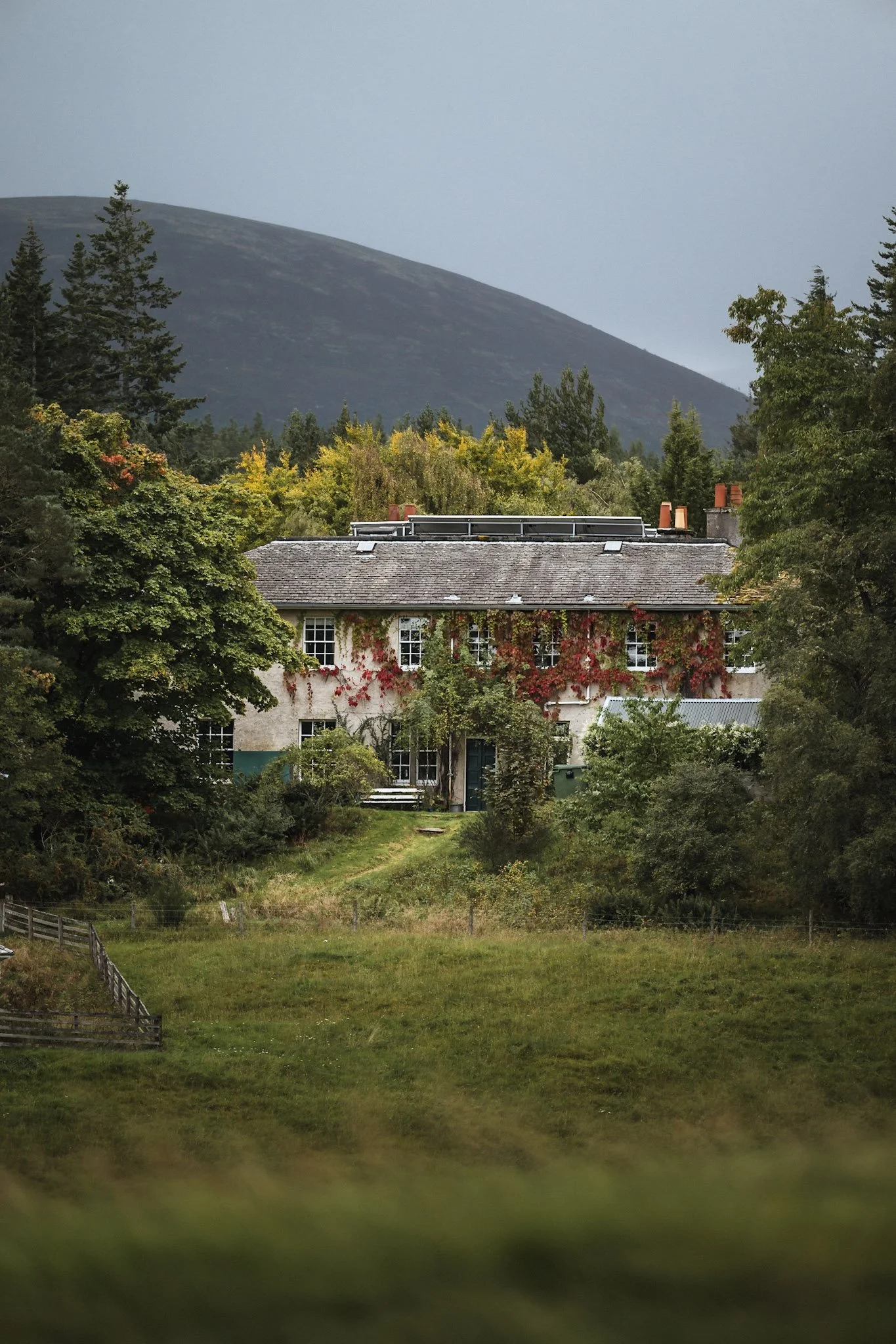 A house covered in vines with green and red foliage, surrounded by trees and a grassy field, with a mountain in the background.