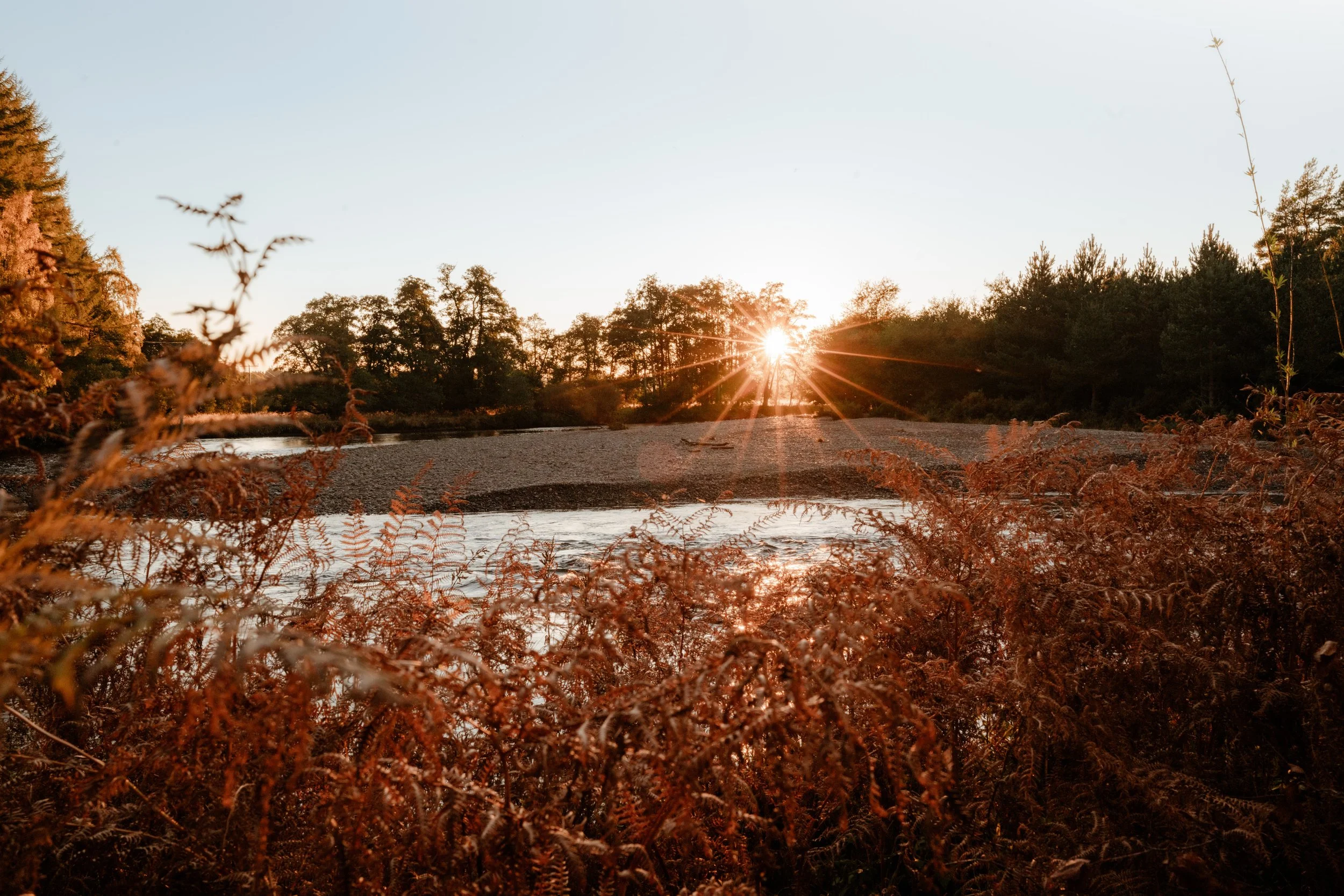 A sunset over a river with trees and shrubs in the foreground.