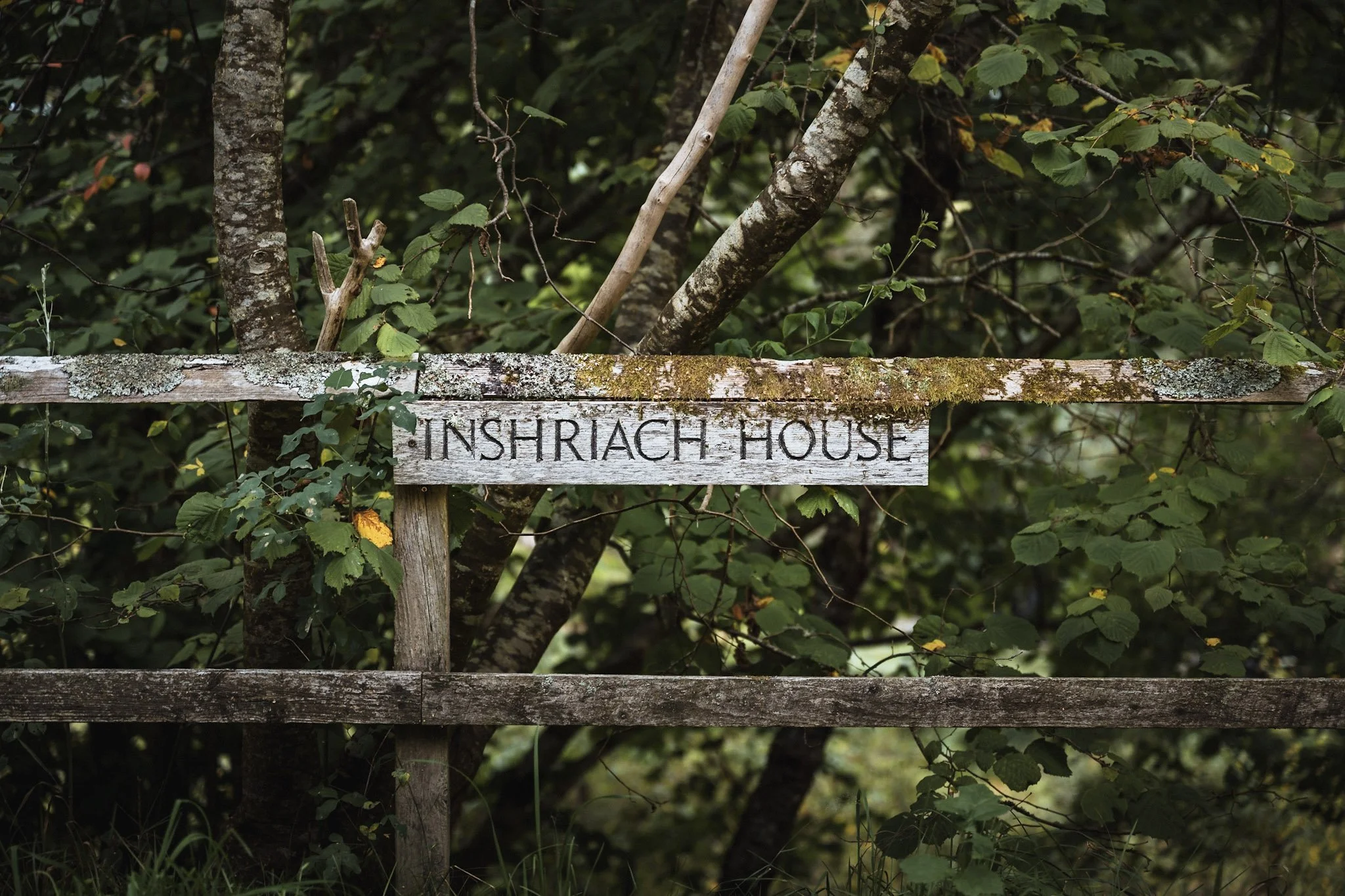 Wooden sign that reads 'INSHRIAH HOUSE' attached to a rustic wooden fence, surrounded by dense greenery and trees with moss and lichen growing on the wood.