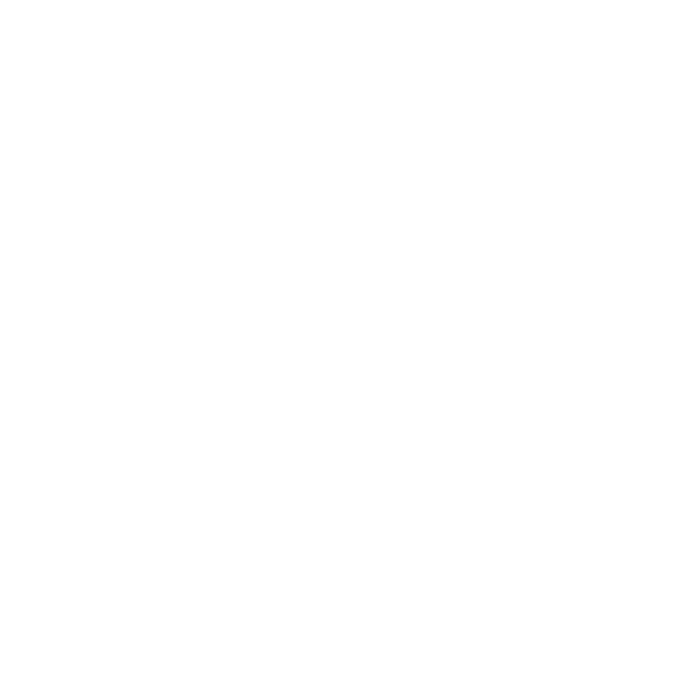 Map Icon