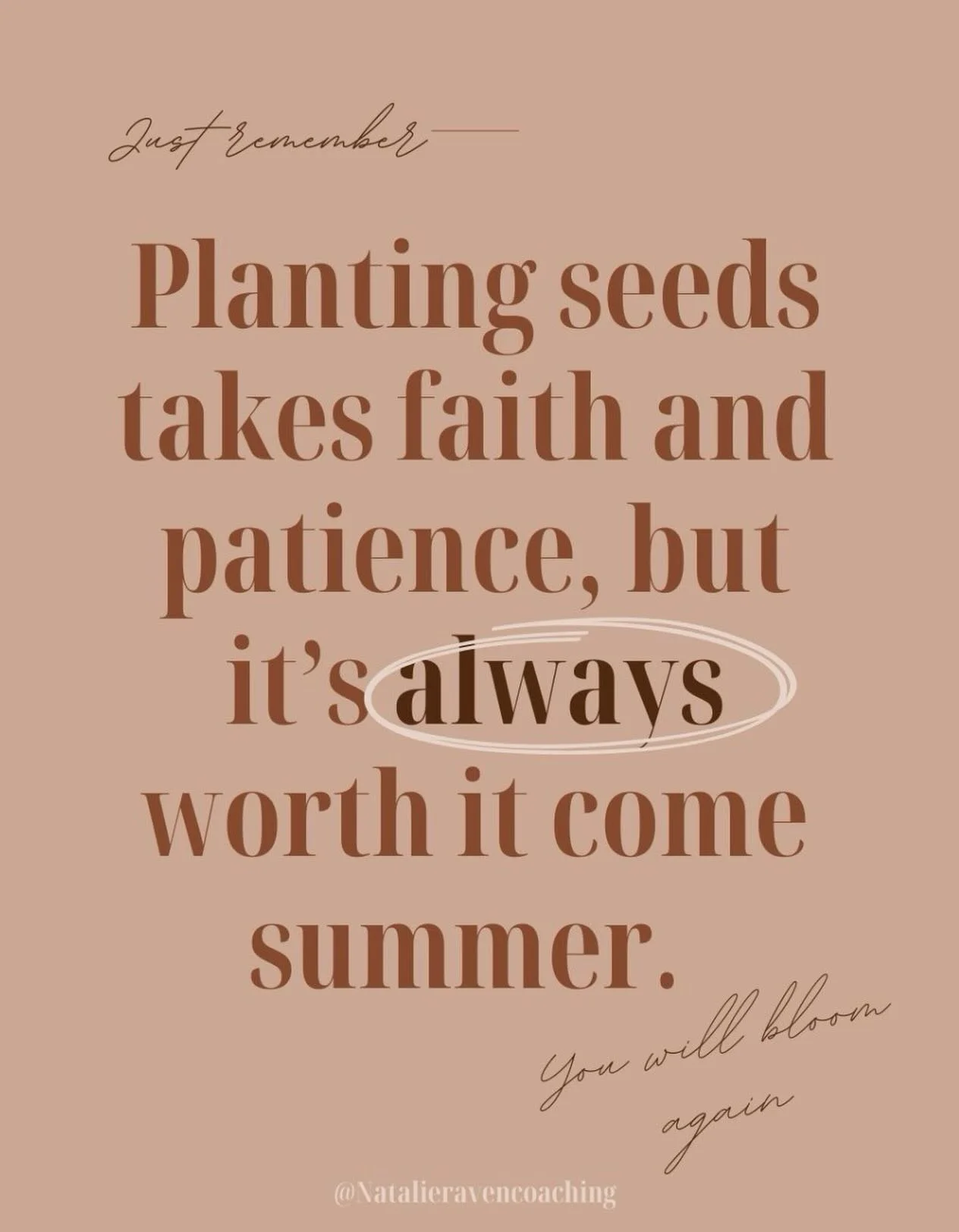 I wrote this down in my journal years ago, when I was finding my way back from Burnout. I was learning to garden too, so there were real seeds and metaphorical seeds being planted at the same time. The faith part had me more shaky than the patience -