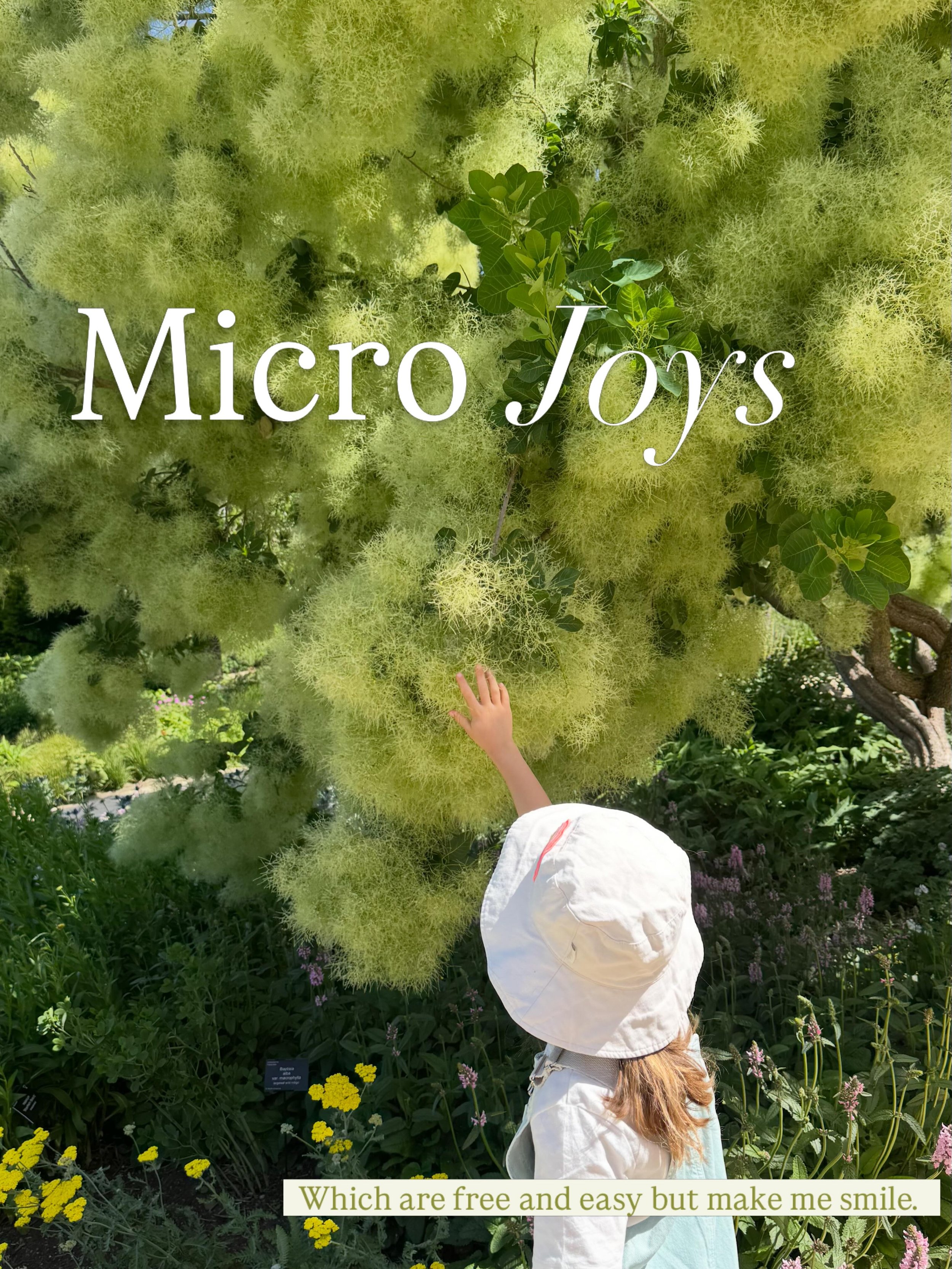 There are so many types of joy and ways to fit them into your life. Recently I&rsquo;ve been thinking about micro joys and how tiny decisions can lift the mood of your days with barely any effort. Here are a few from this week. 

Life coach - parenti