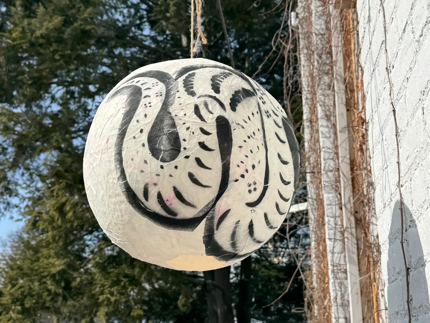 lunar new year lantern with snake painted on it hangs outside