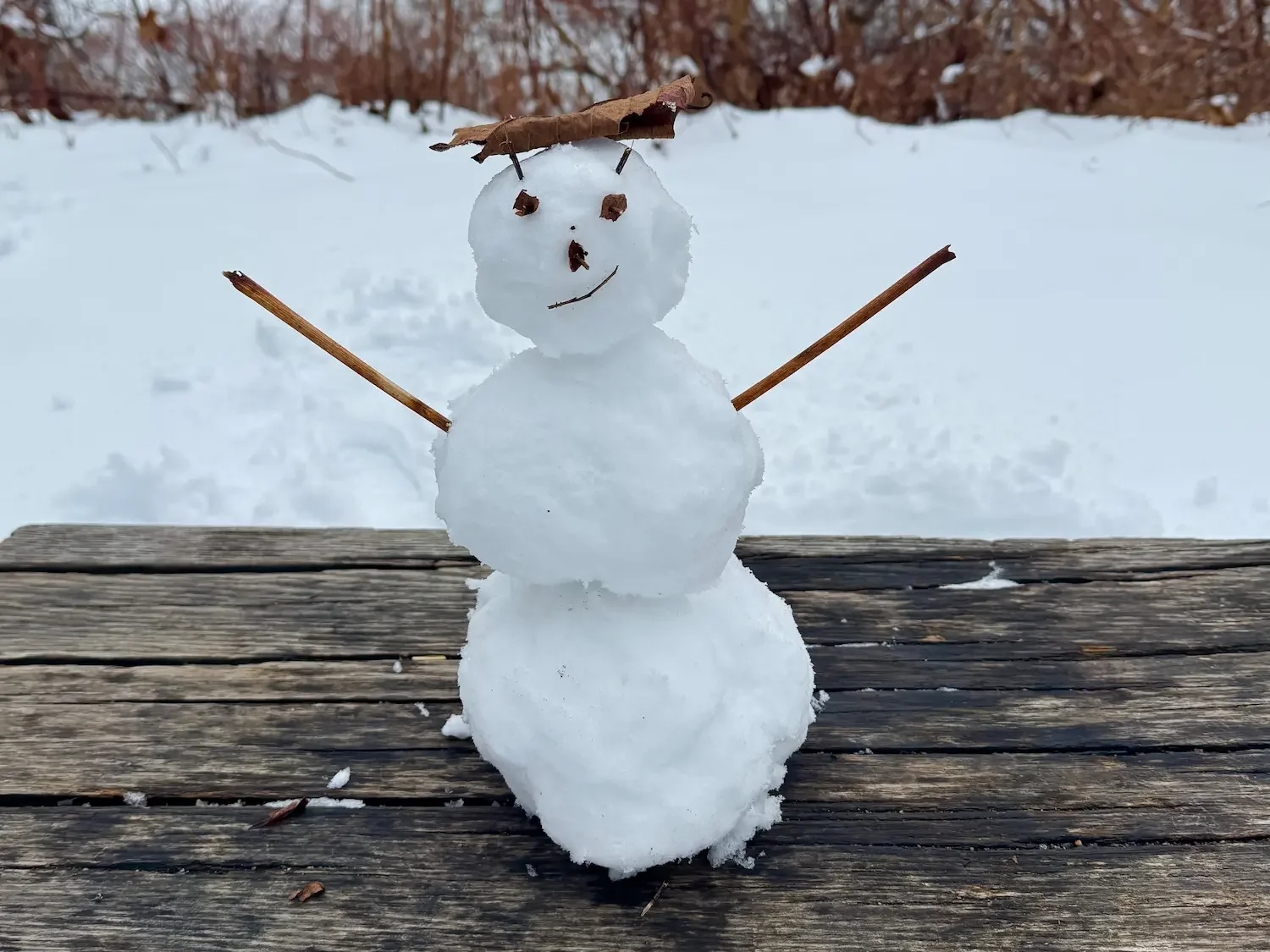 A small snowman on a bench surrounded by snow in Beacon