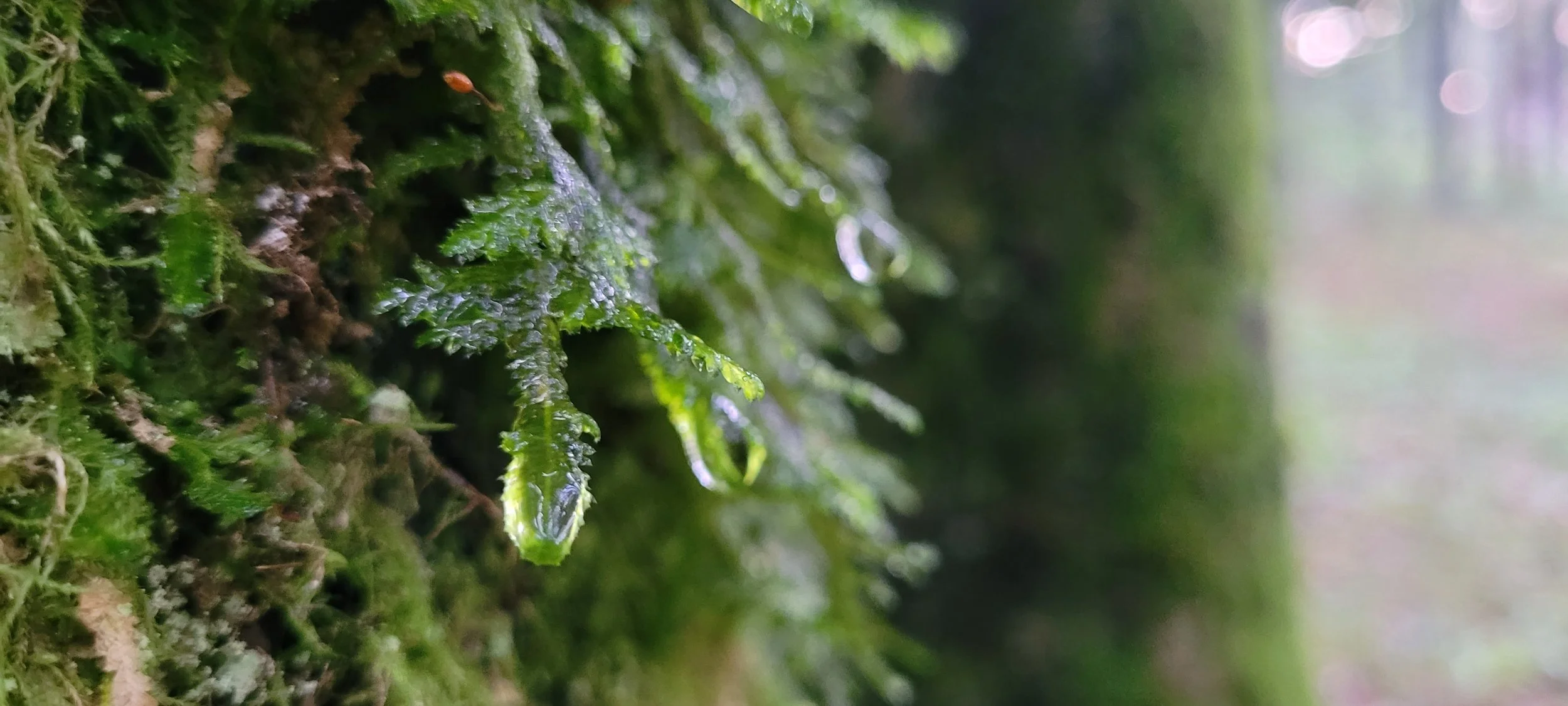 Soočanje s telesnim trpljenjem bližnjega.