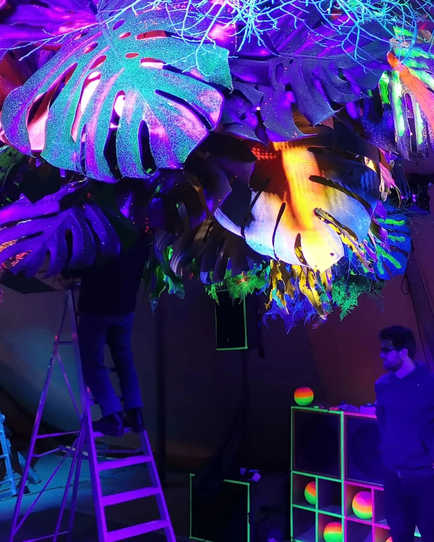 Spring 202
Setting up the Neon Jungle

#birthday