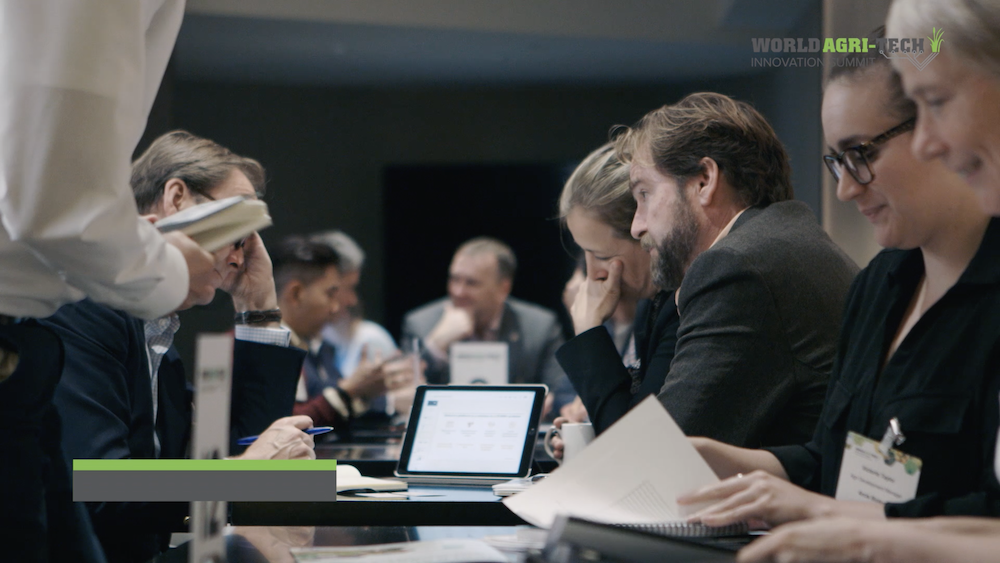 Modern office space with team members working at a long table.