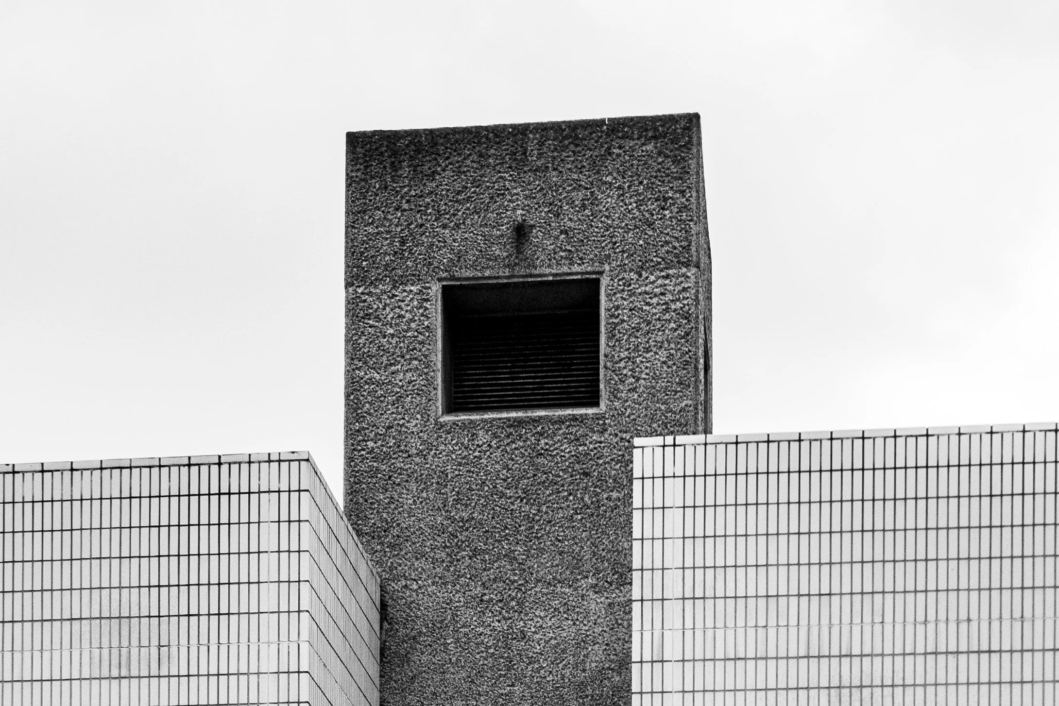 DSC00593-2.jpg