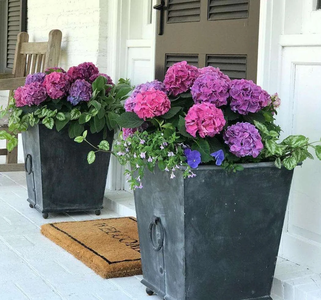 Two large metal containers filled with pink, purple, and blue hydrangea flowers on a porch with a doormat that says "Welcome," a wooden chair, and a door in the background.