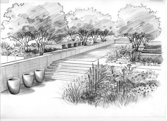 Sketch of an outdoor park scene with stairs, large pots, trees, shrubs, and plantings.