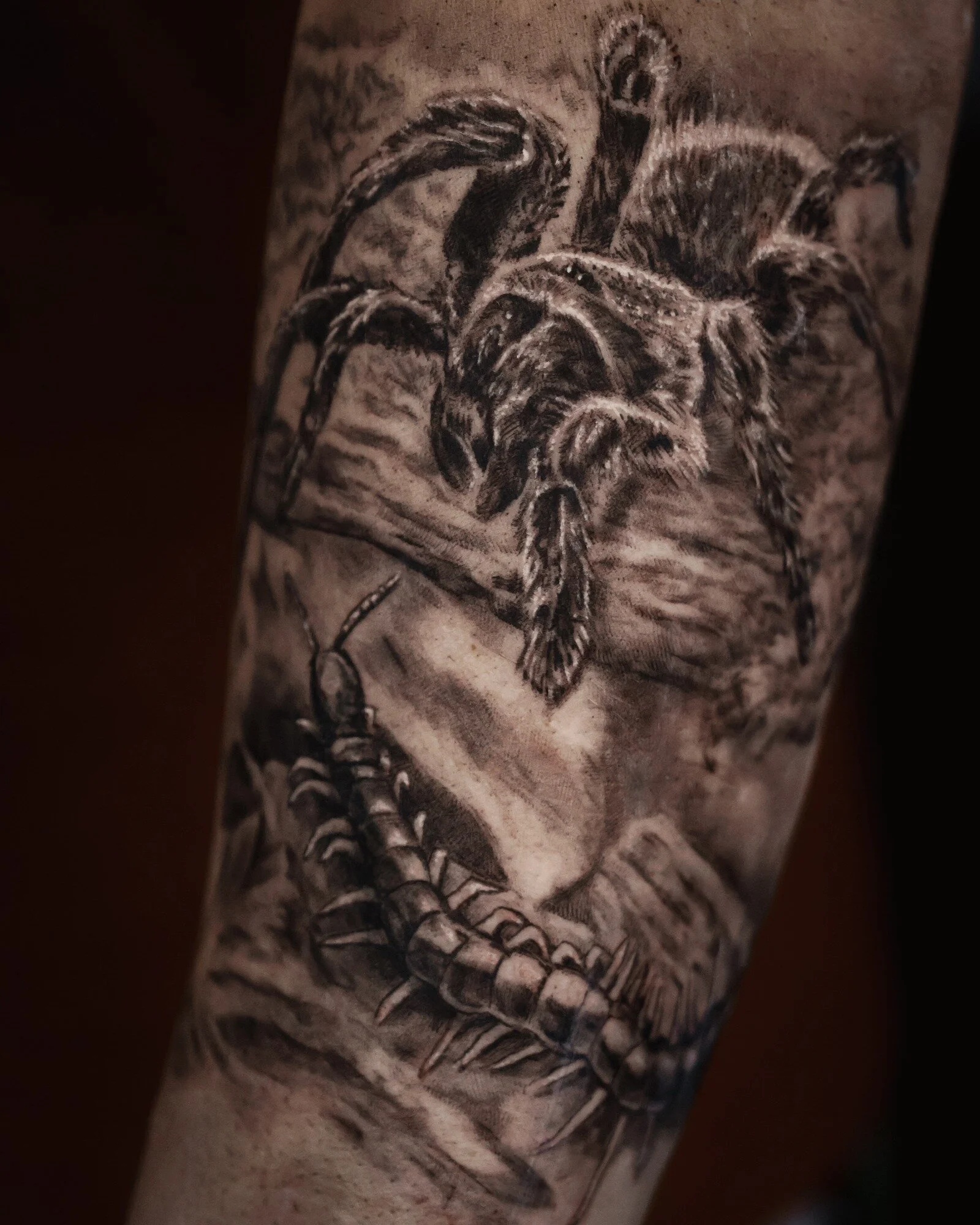 Where the wild things roam, even on skin, they find a home. This piece is a tribute to the enthusiasts who find beauty in the crawl. Ready to get your passion permanently etched? Let&rsquo;s spin the web of your next story. #insecttattoo #blackandgre