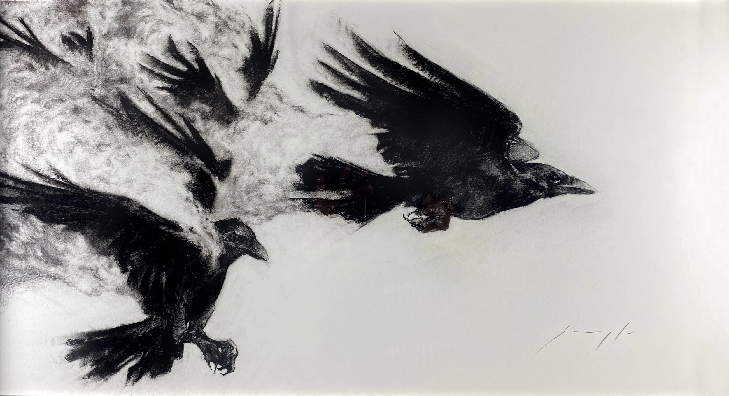 Wings of Ash and Flame, charcoal on paper, 16" x 29"