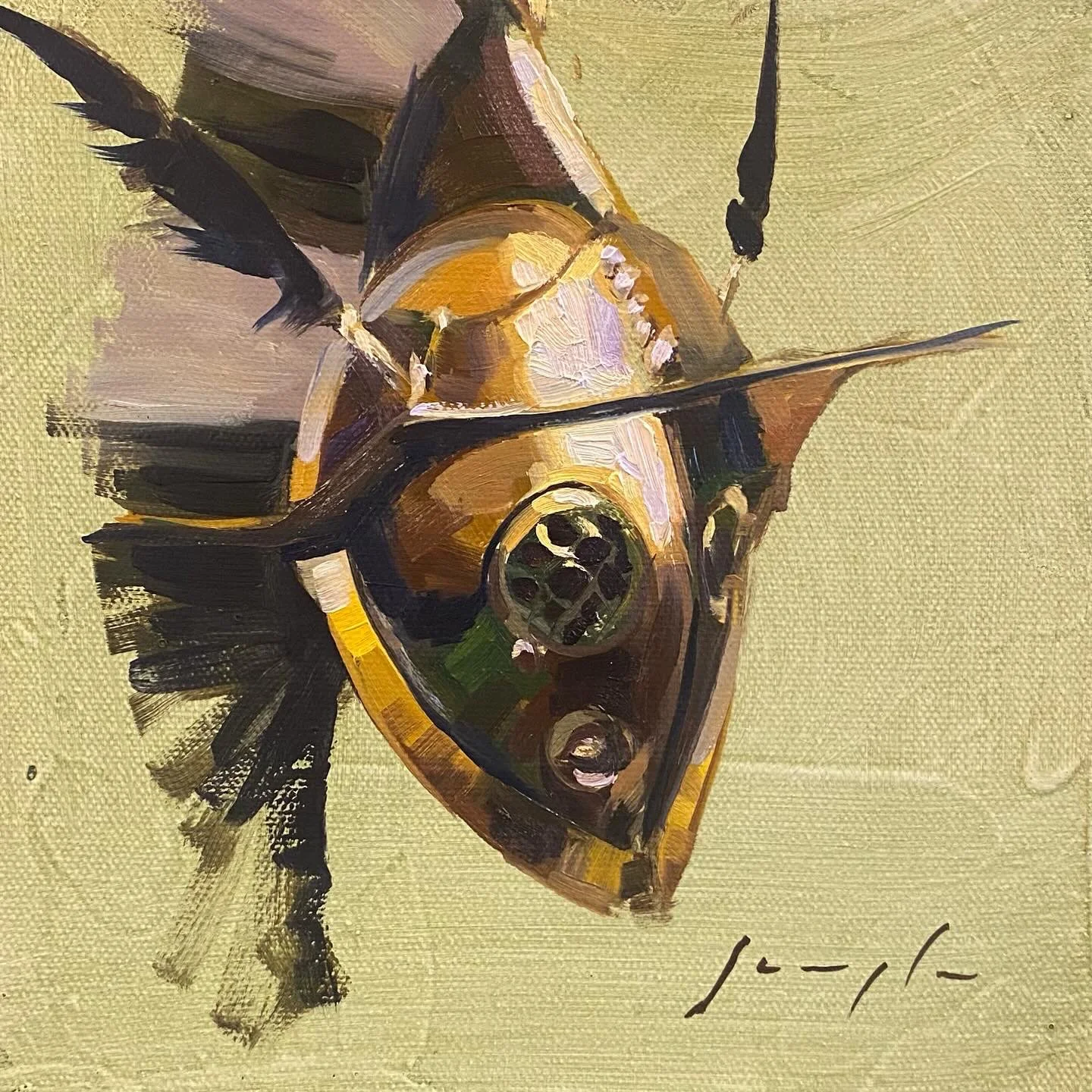 Murmillo, oil on canvas, 8" x 8"