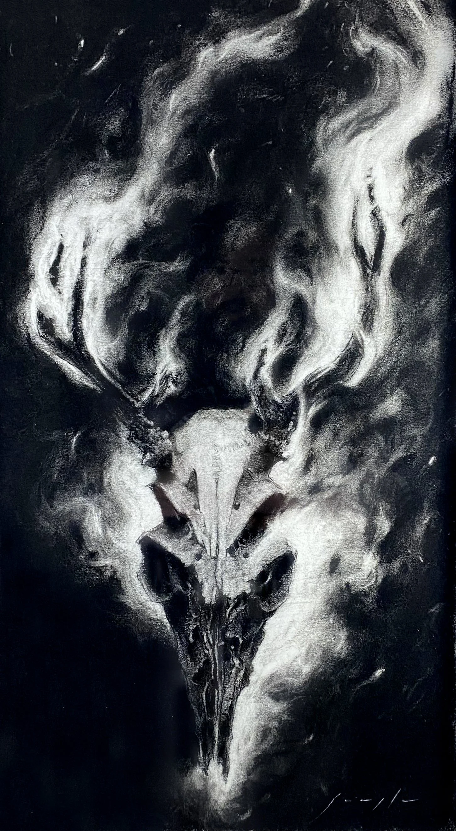 Dark Visitor, charcoal on paper, 15" x 25"