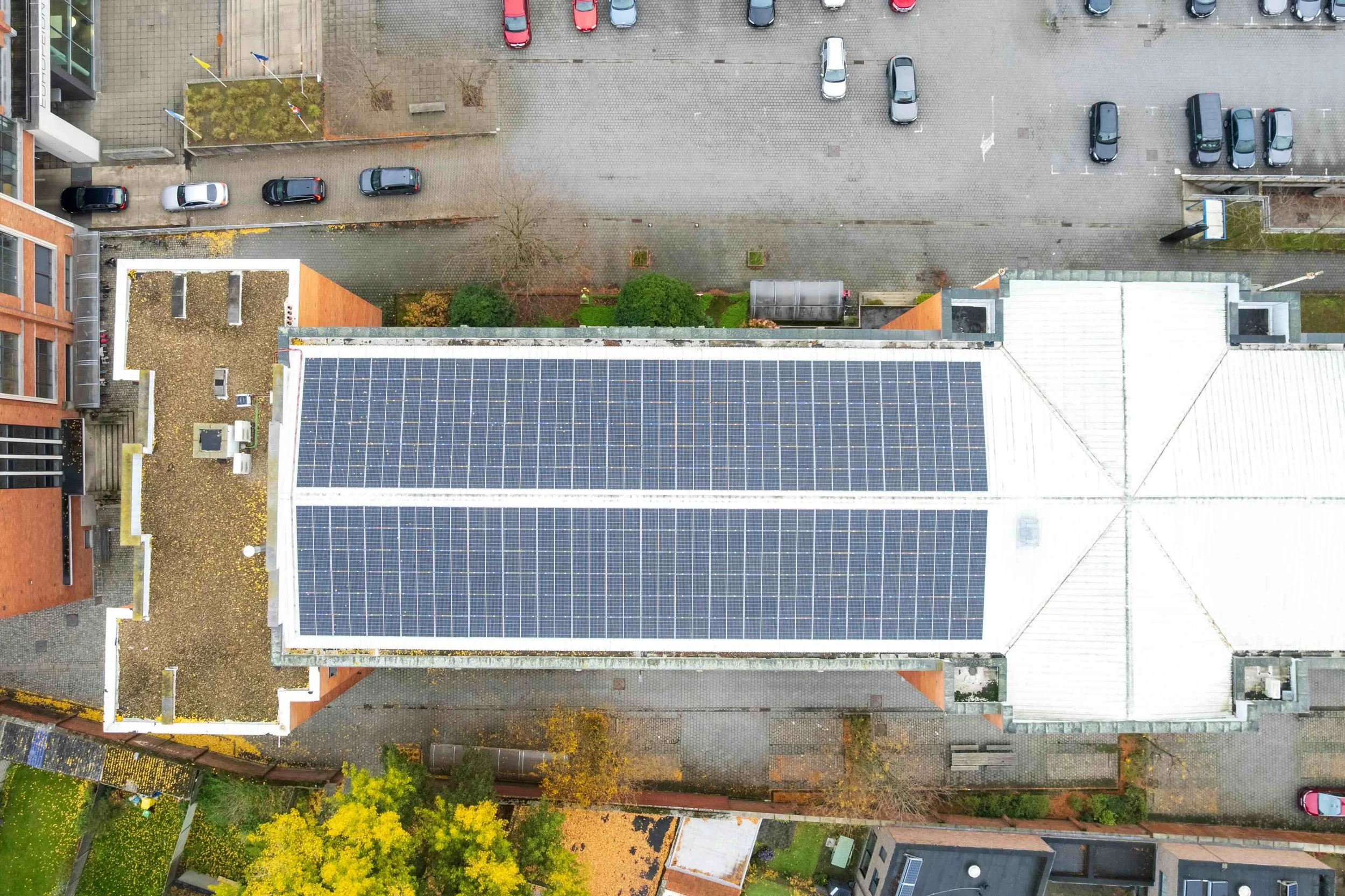 Turnhout - Blairon2.jpeg