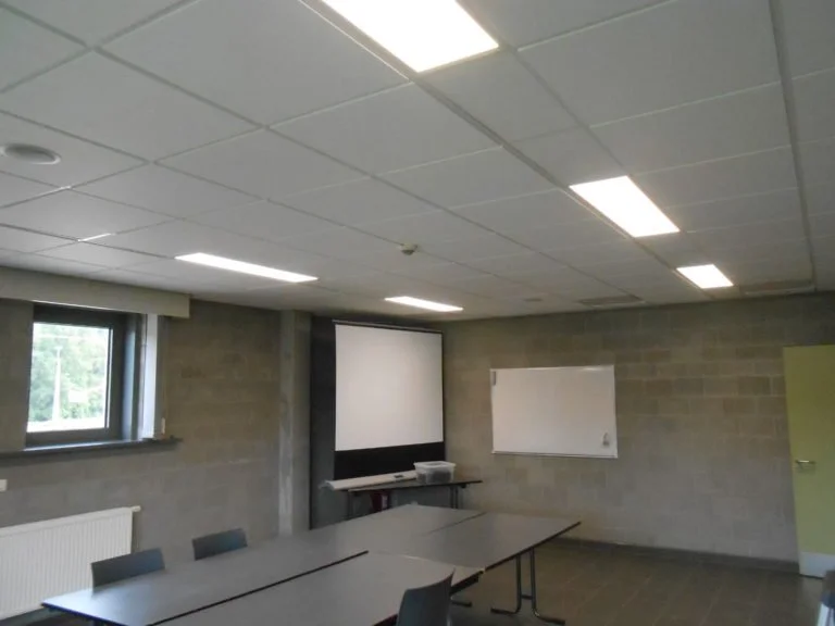 Zandhoven Populier.jpg