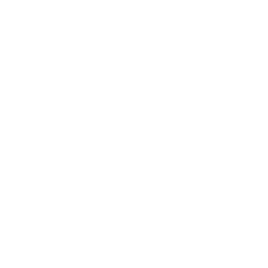 wiseday.png