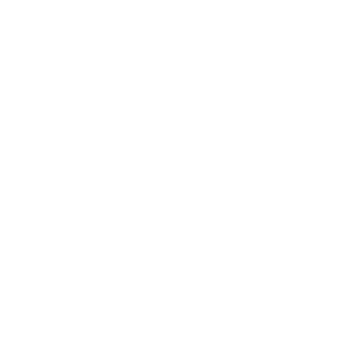 carico.png