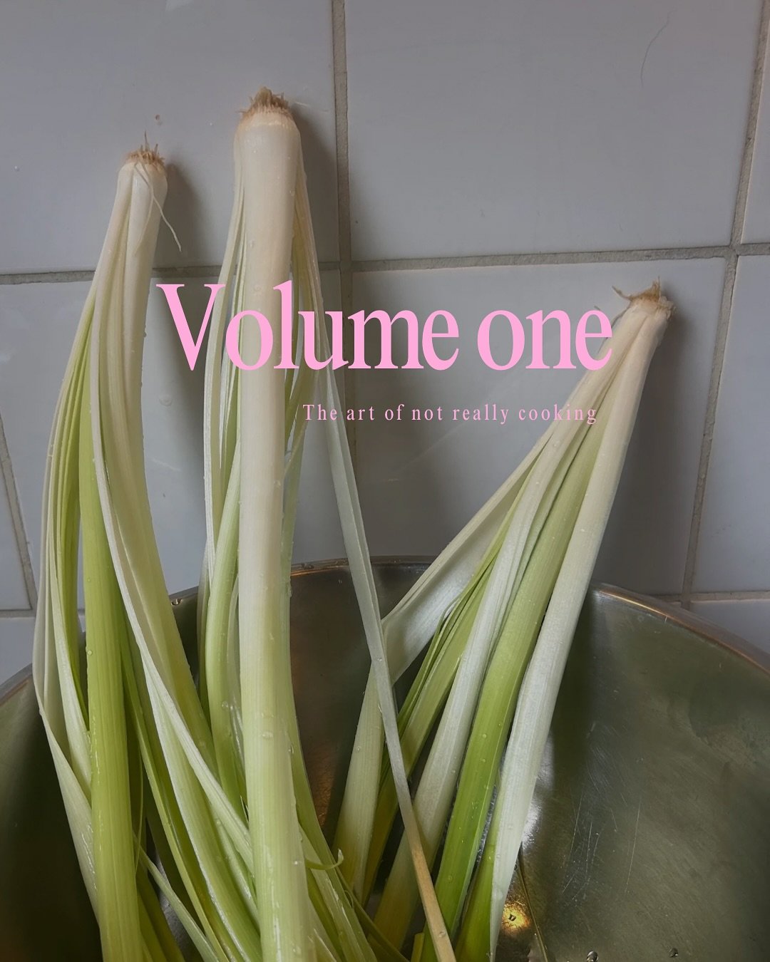Ready to download! 
Volume One: The Art of Not Cooking 🍳 

Some of my favorite dishes started with the decision not to cook. Not properly, anyway. 

This little collection is a love letter to what happens when you stop trying so hard. When you drain