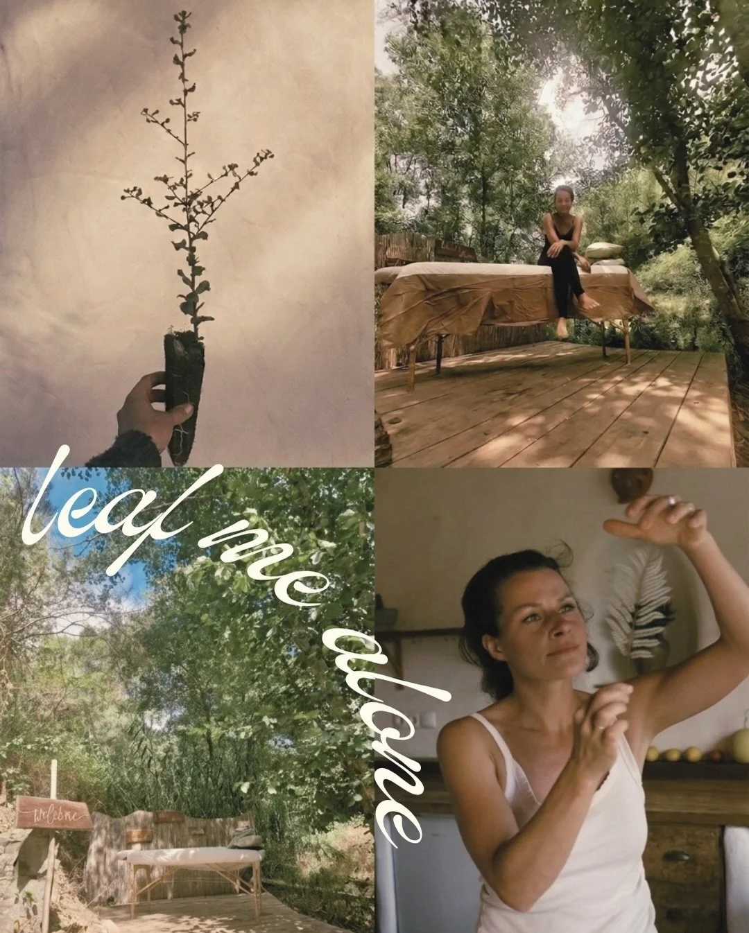 meet Tosca&hellip; your new favourite way to unwind🍂🌿🍁🍃🍄&zwj;🟫

blending years of hands-on experience with a love for the forest, her treatments are less &ldquo;quick massage&rdquo; and more full body exhale.

she&rsquo;ll be bringing:
&ndash; 