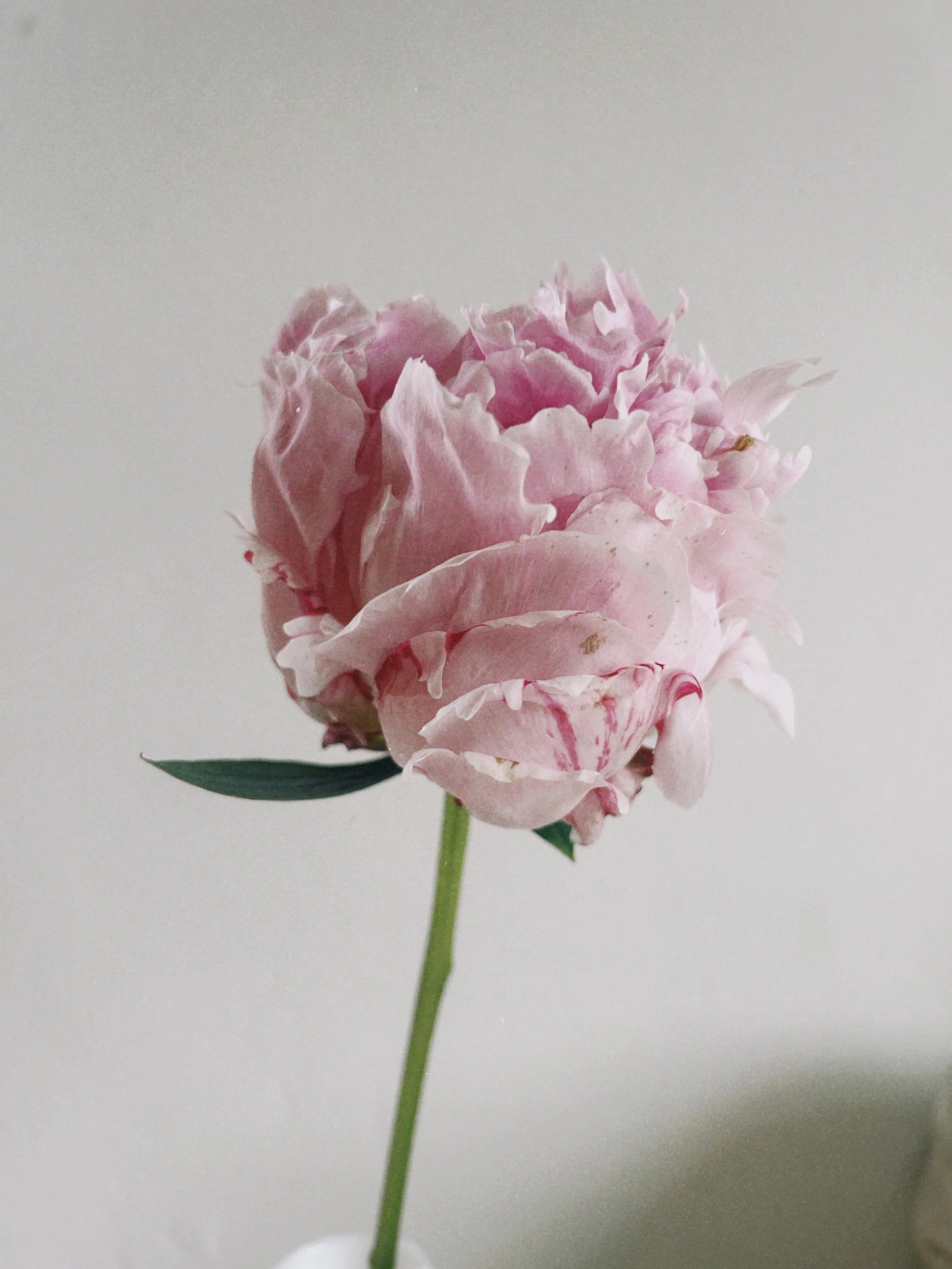 dclassic 2024-05-30 121422.999.jpeg