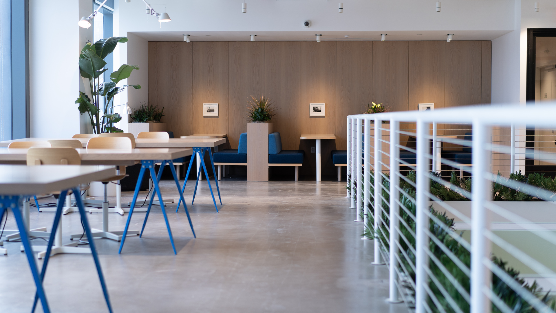 Co-Working & Shared Workspace Fit-Outs | Evolving Spaces — Evolving ...