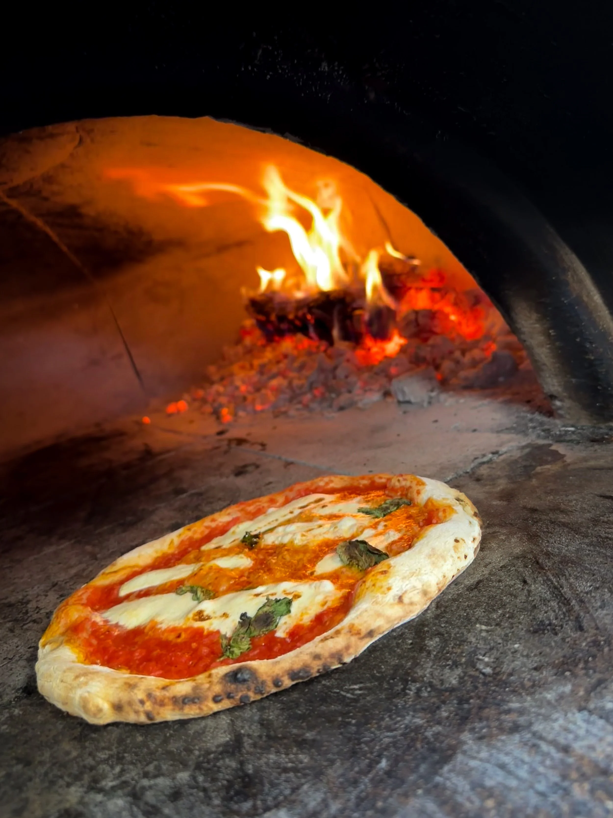 Mozzeria Sf