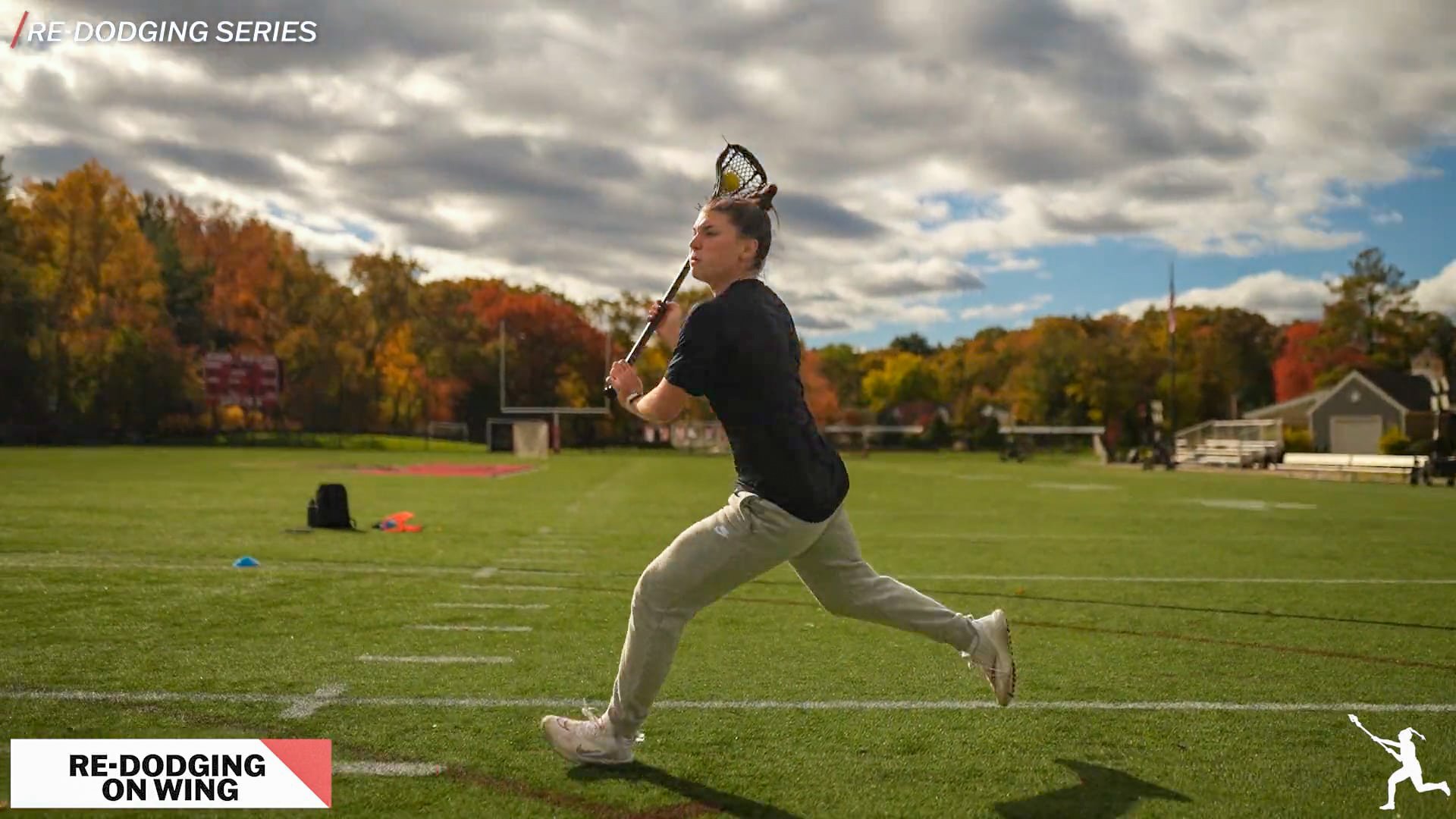 Re-Dodging - Re-Dodging on Wing.jpg