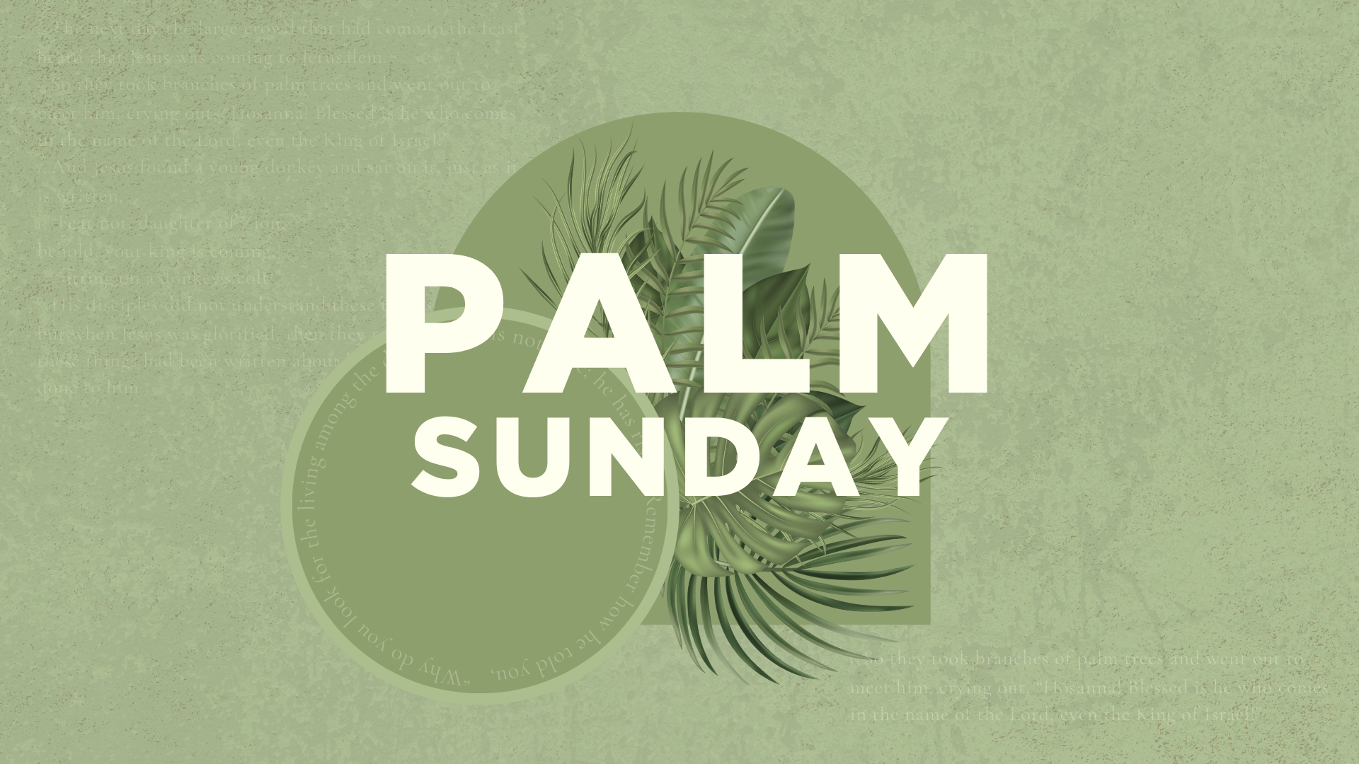 Palm Sunday