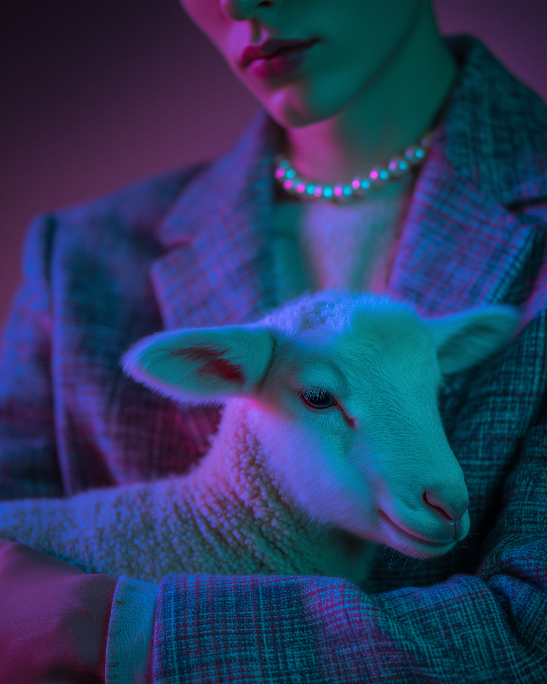 Had a Little Lamb