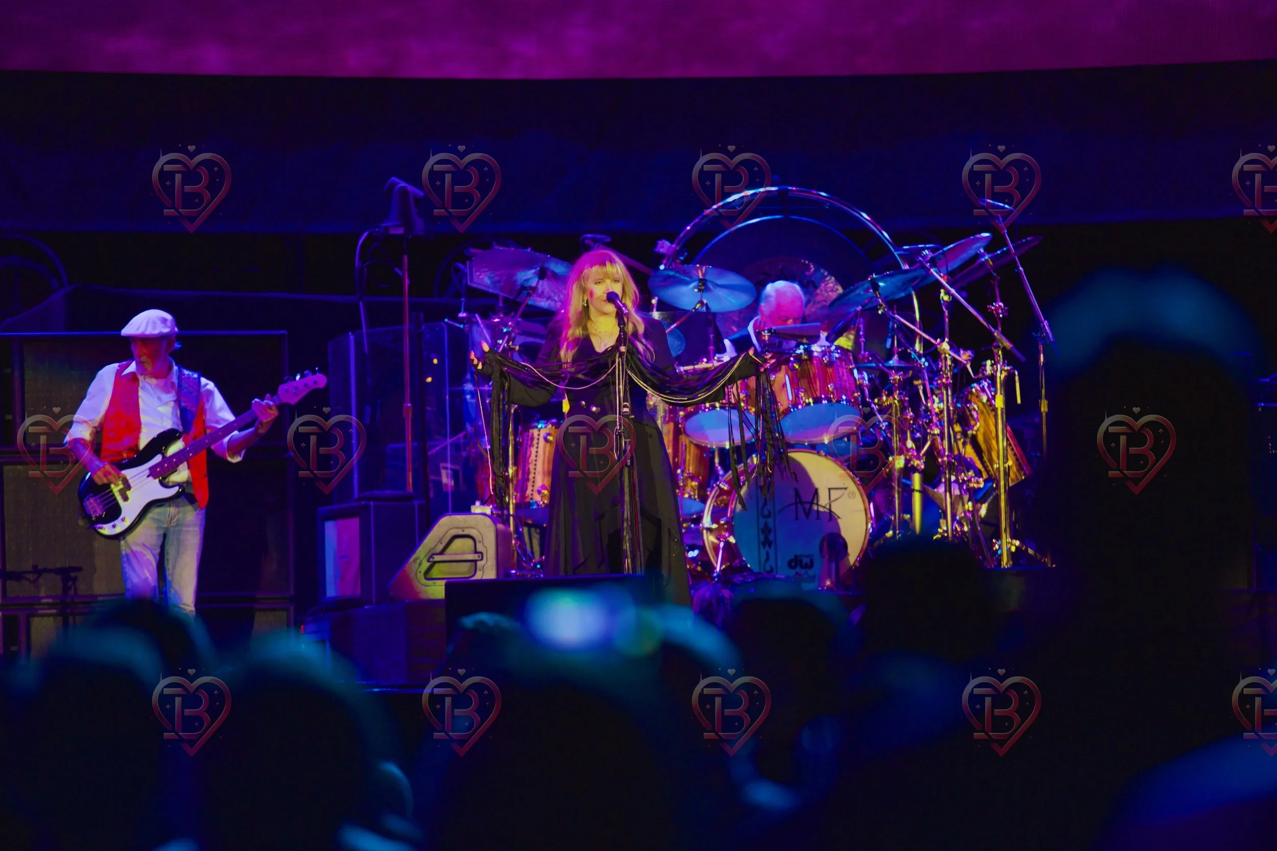 Stevie Knicks and Fleetwood Mac 5.JPG