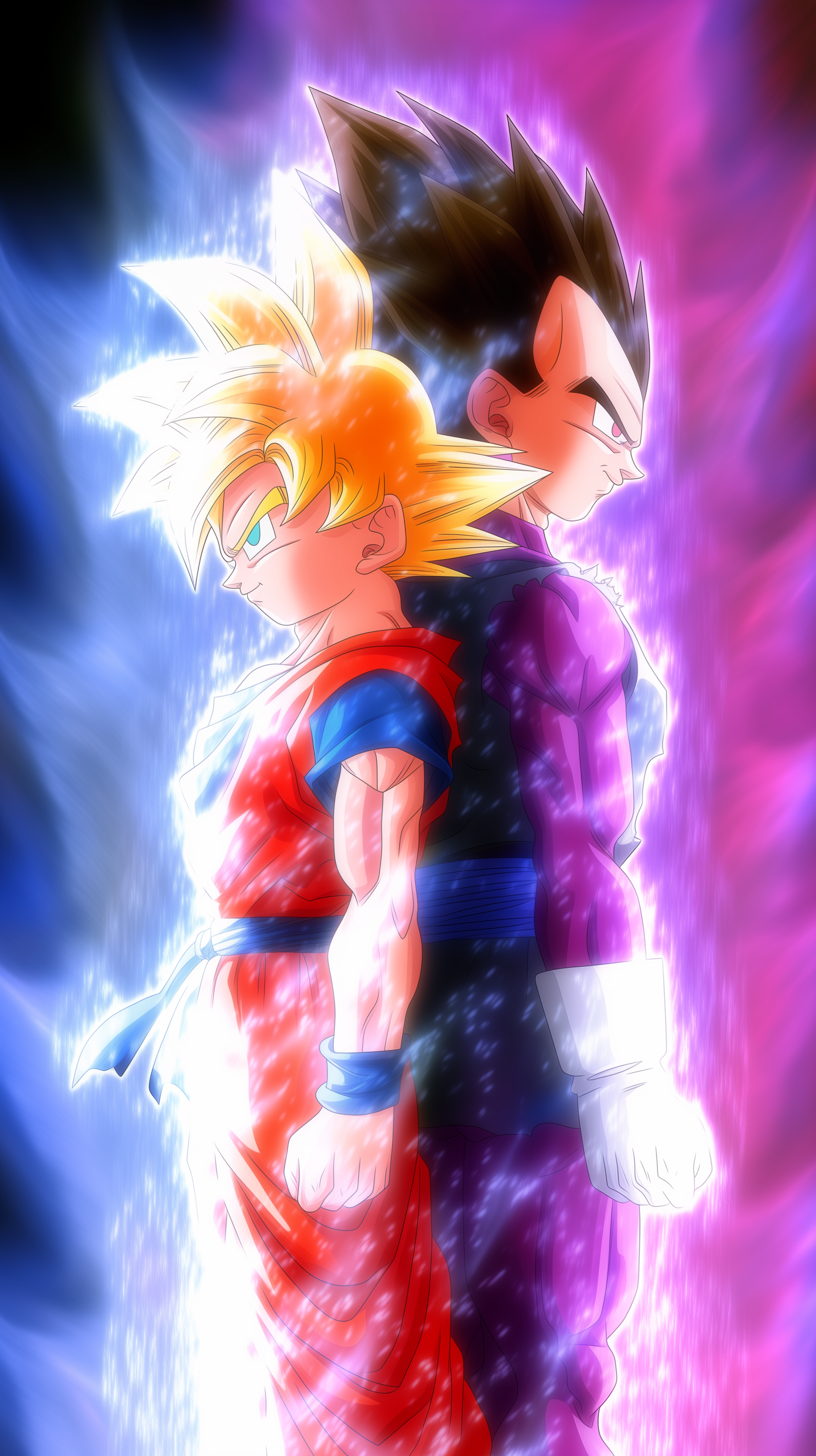 GOKU AND VEGETA 1.png