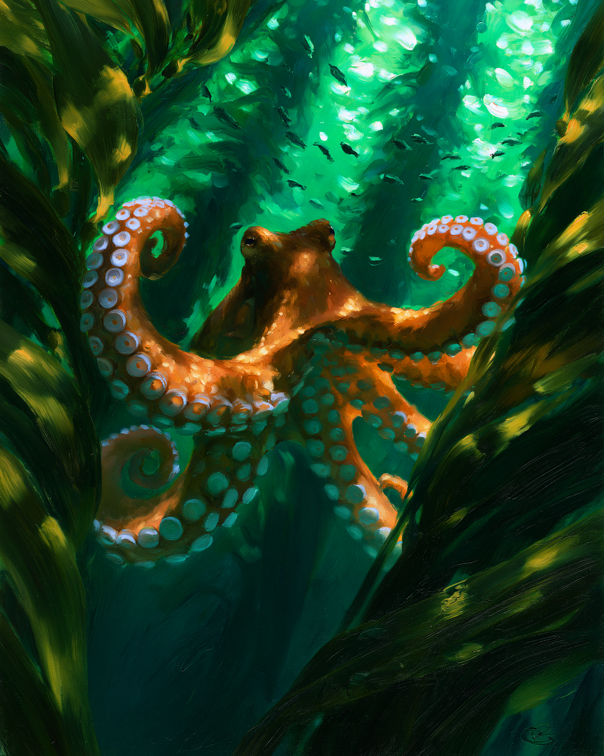 OCTOPUS 11.png