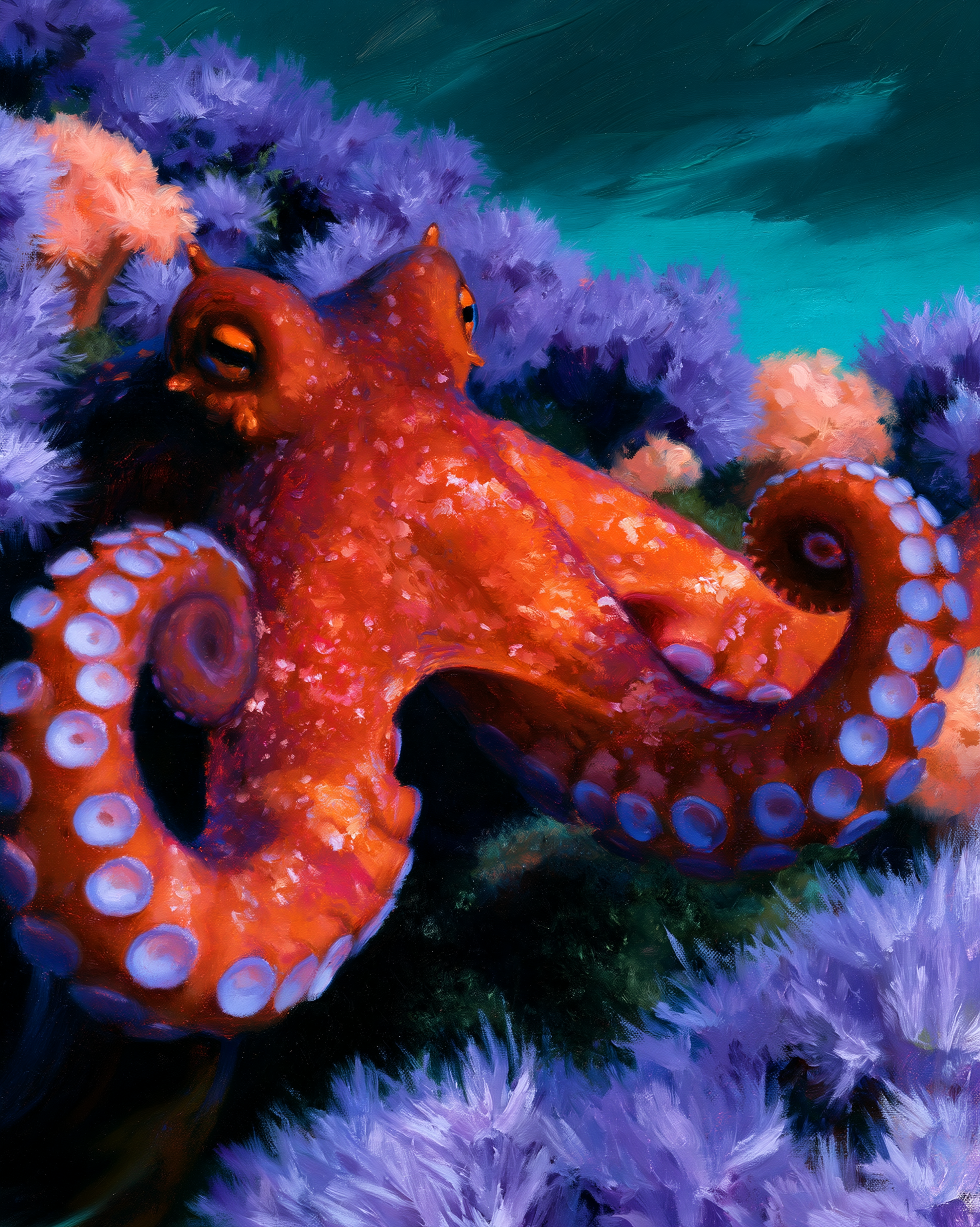 OCTOPUS 9.png