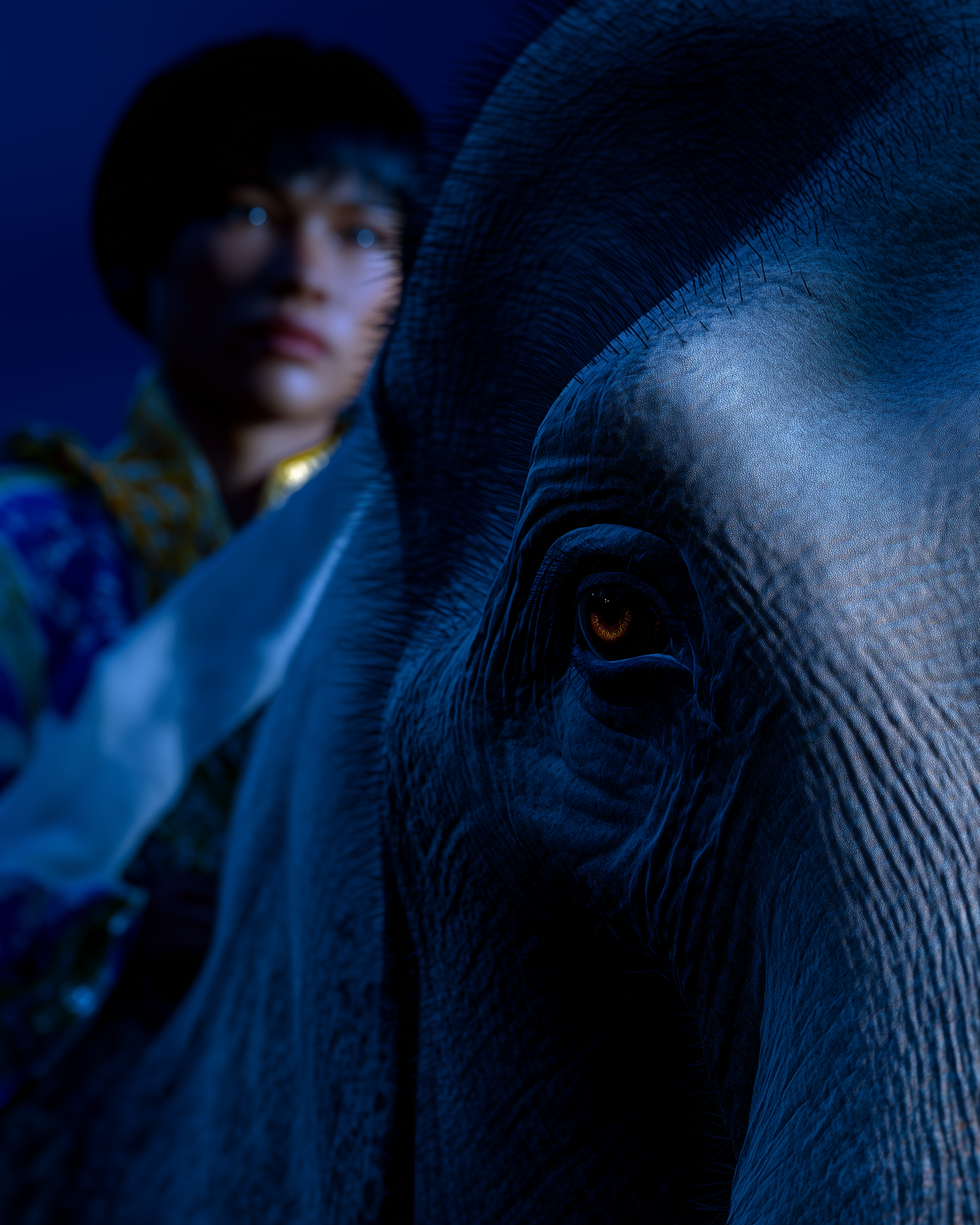 The Elephant’s Trust 13.png