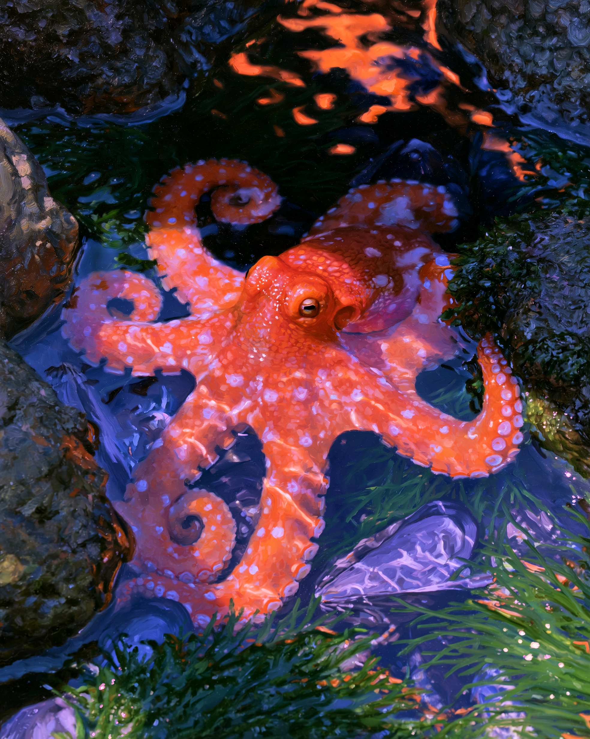 OCTOPUS 6.png