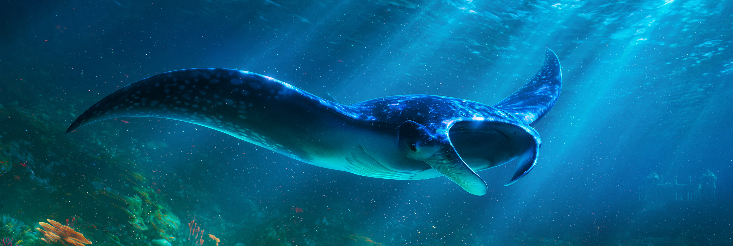A whale swimming underwater with light rays shining through and coral in the background.