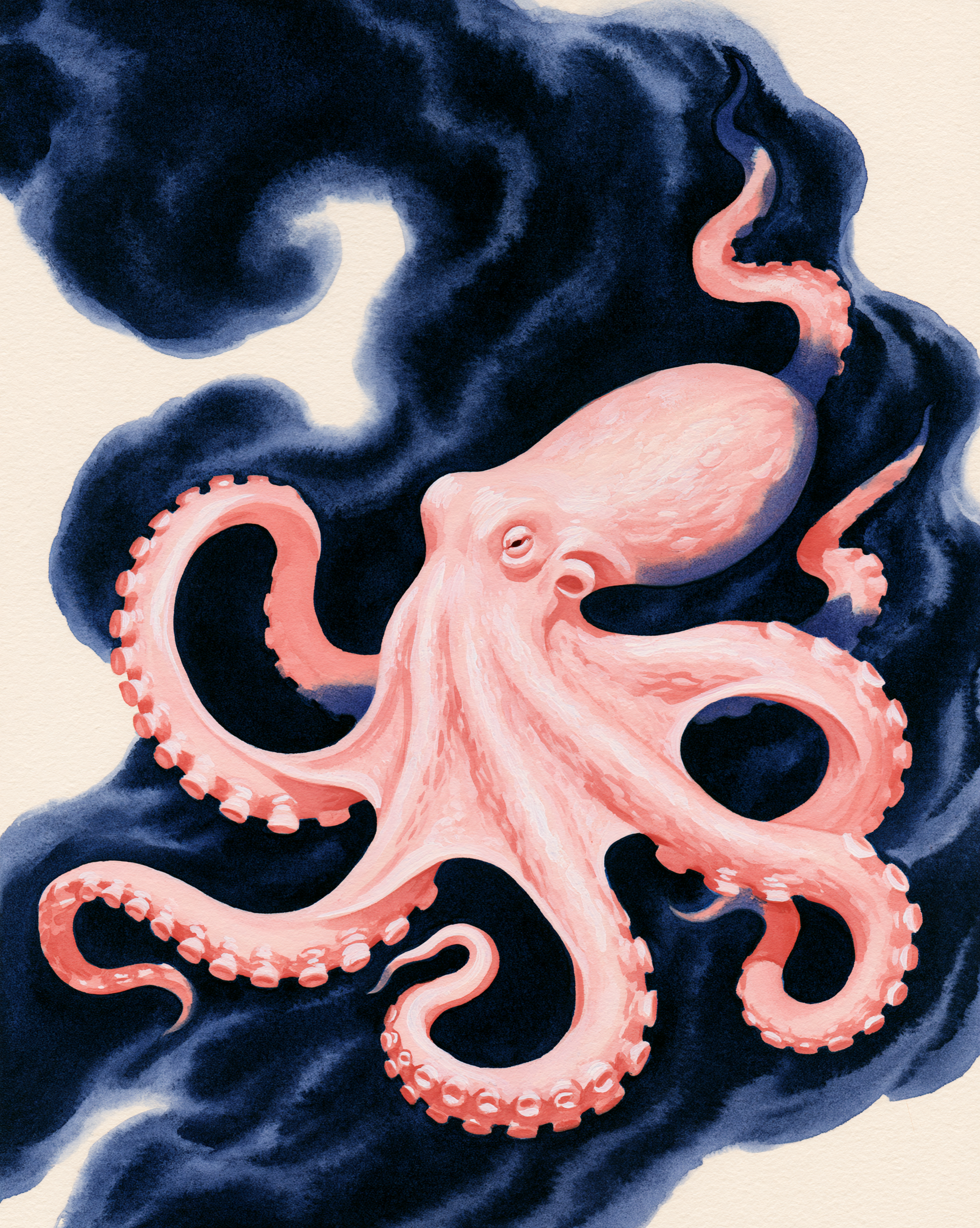 OCTOPUS 5.png