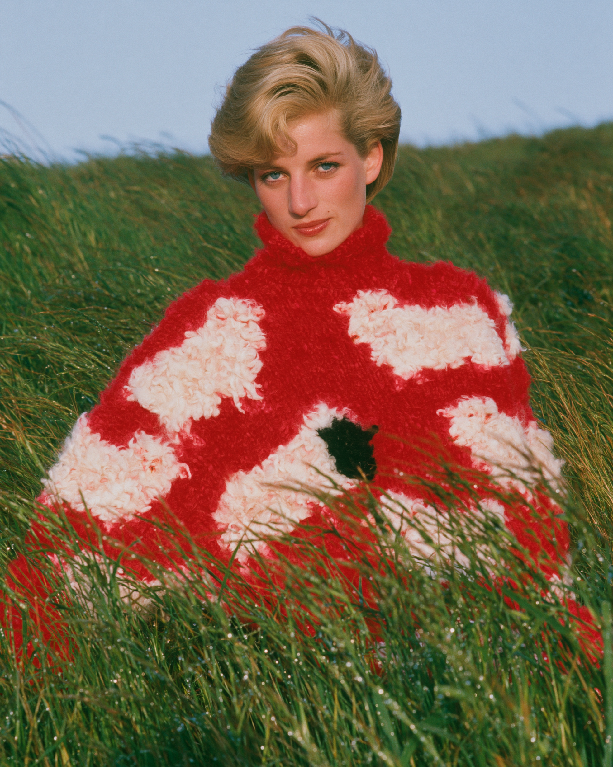 DIANA 12.png