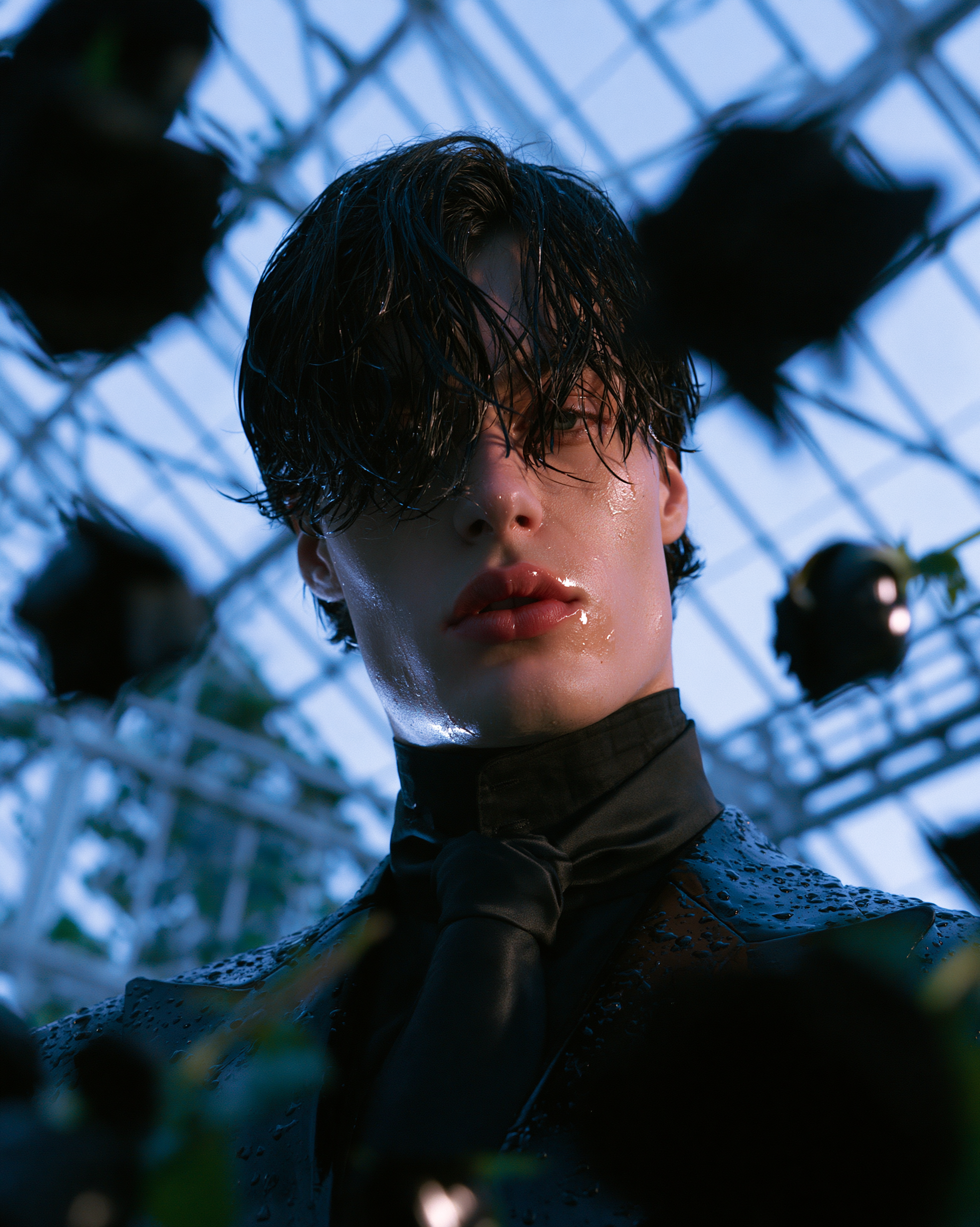 Where the Black Roses Grow 1.png