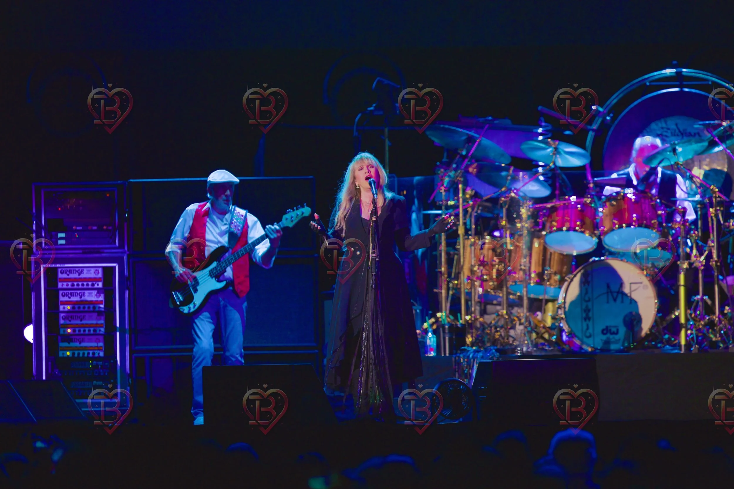 Stevie Knicks and Fleetwood Mac 2.JPG